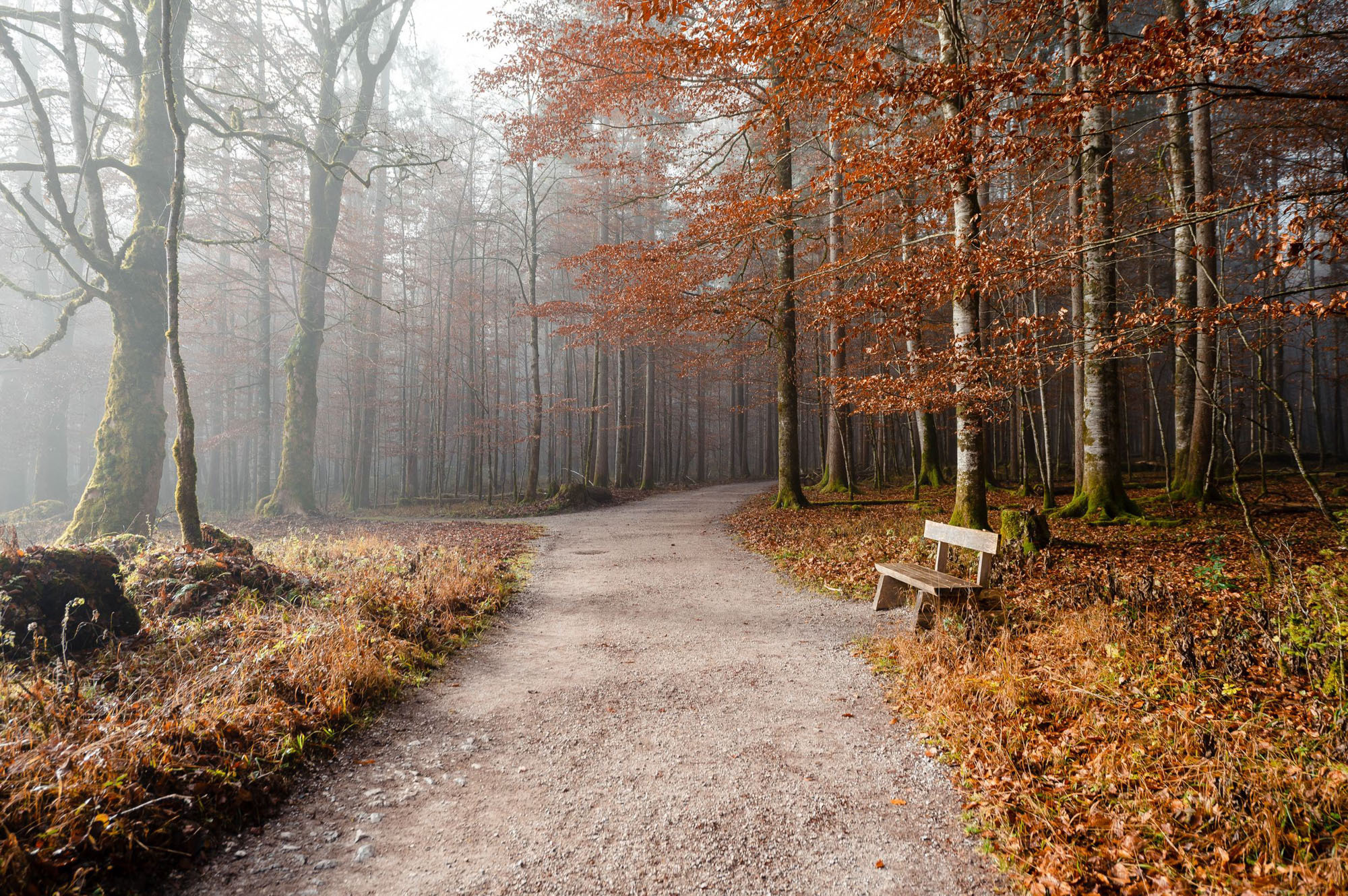 Eiskapelle Watzmann & Königssee | Abenteuer vor Österreichs Quarantäne