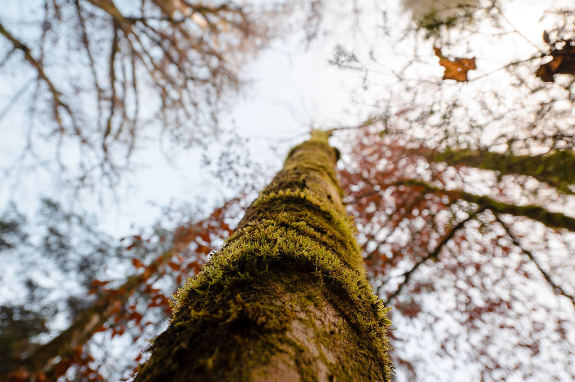 Eiskapelle Watzmann & Königssee | Abenteuer vor Österreichs Quarantäne
