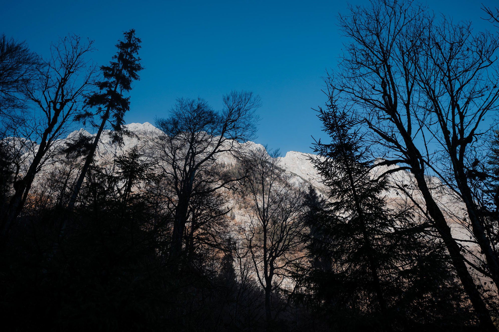 Eiskapelle Watzmann & Königssee | Abenteuer vor Österreichs Quarantäne