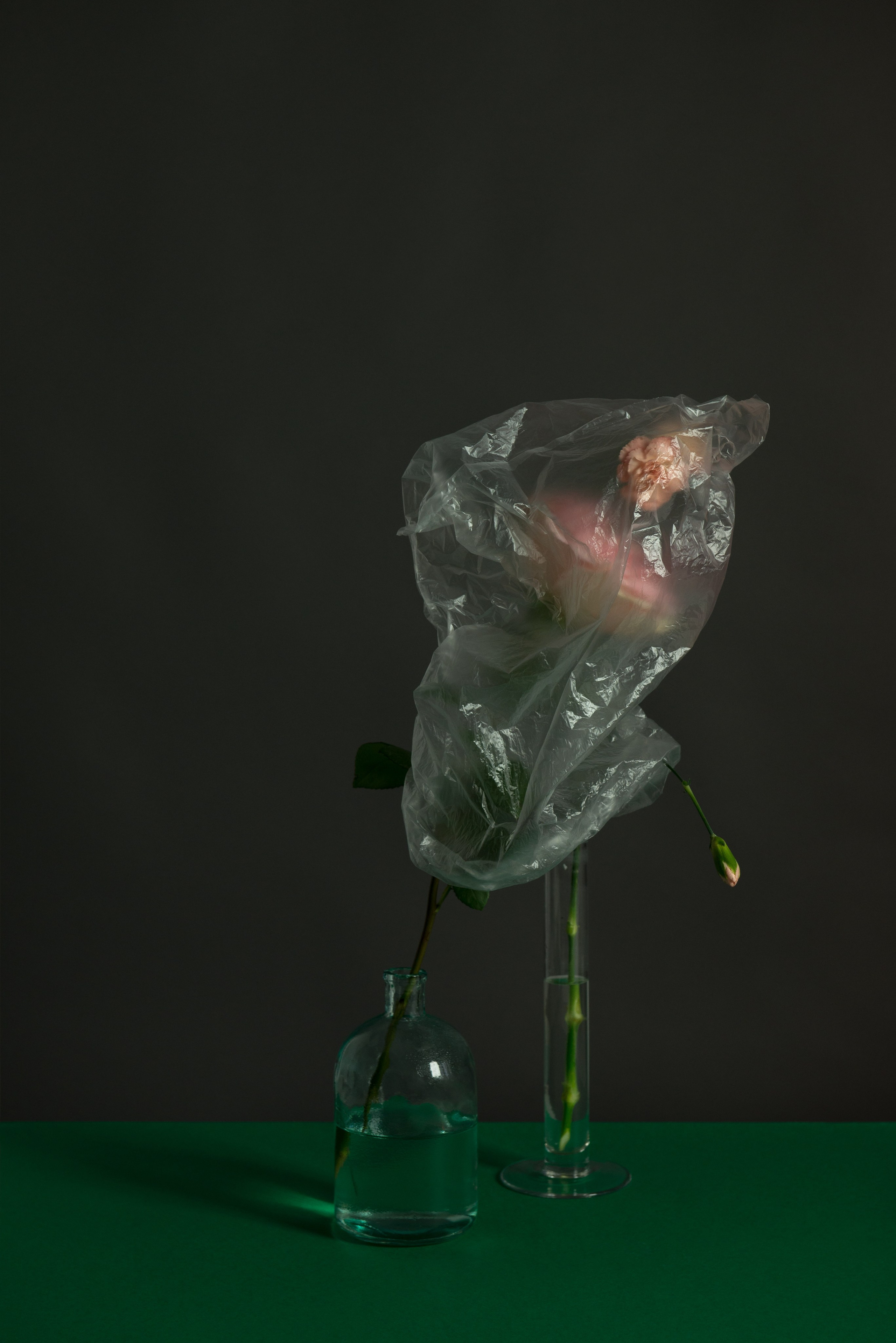 Narcissists 2017. Photographe de produits et natures mortes à Paris