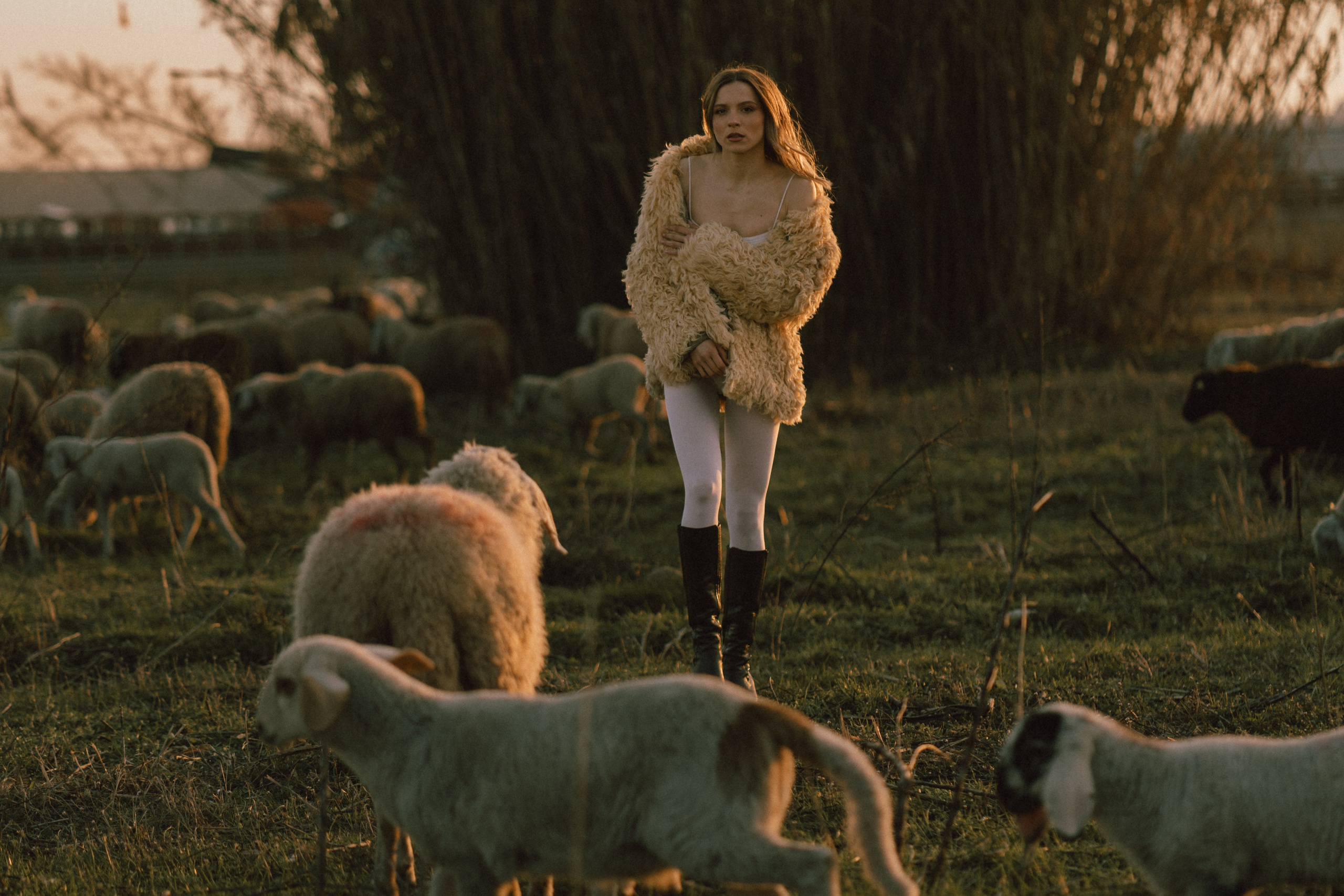 A thousand sheeps. Diana Fedrigo | Fotografa matrimoni in Italia