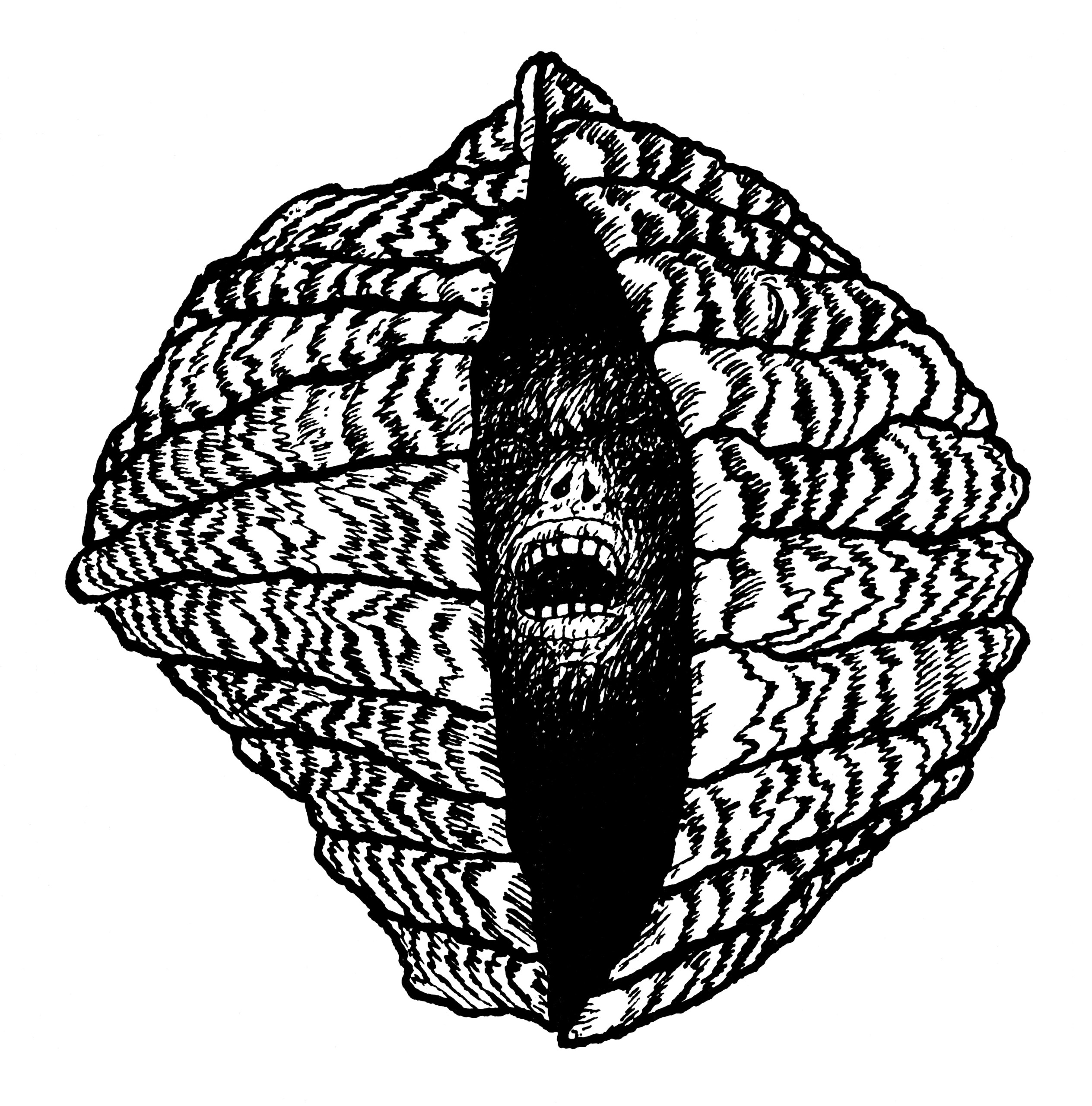 fragment, Muszloportrety II, ink, 1975, Museum of Art in Łódź