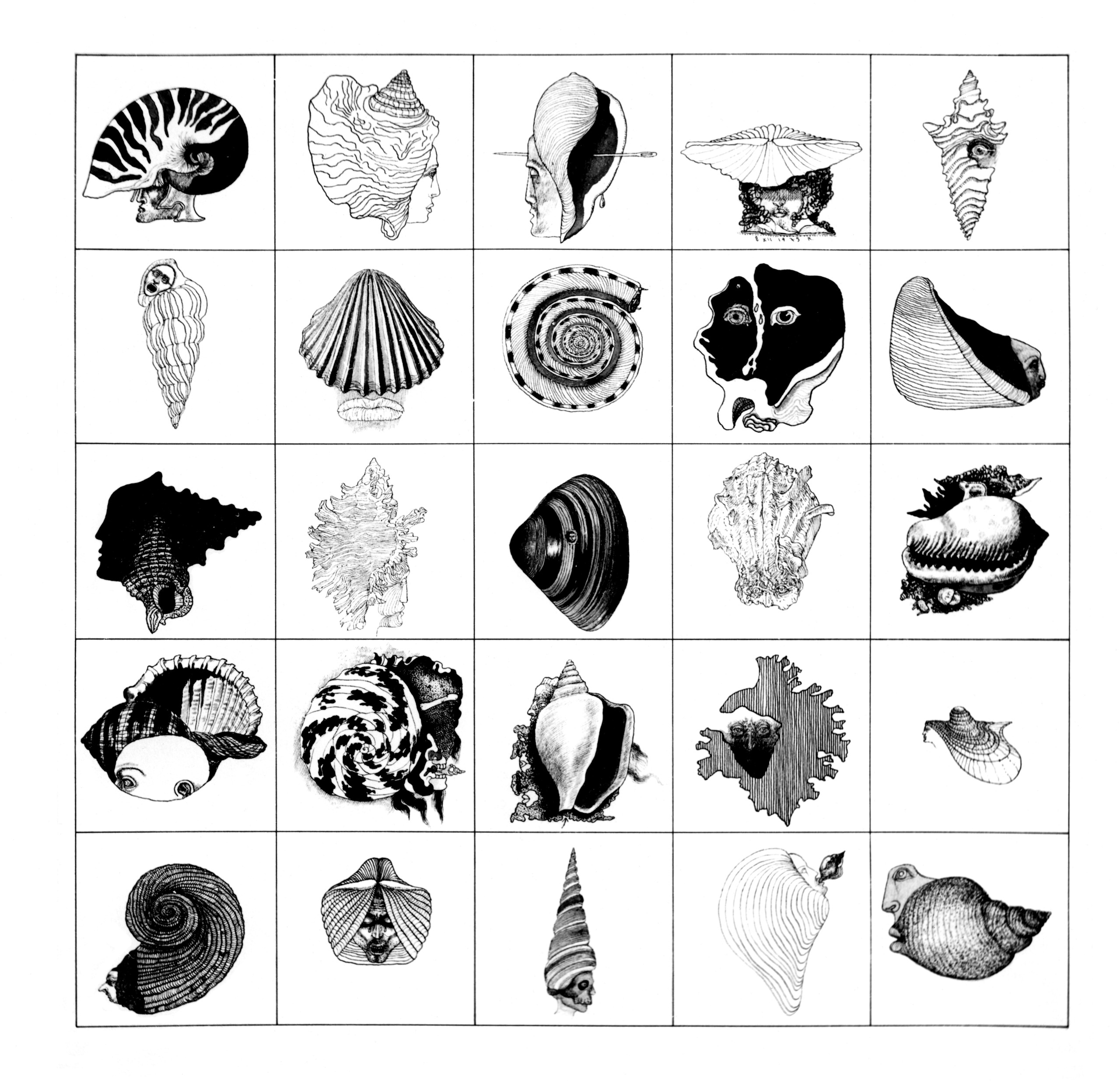 Muszloportrety I, ink, 1975, Museum of Art in Łódź