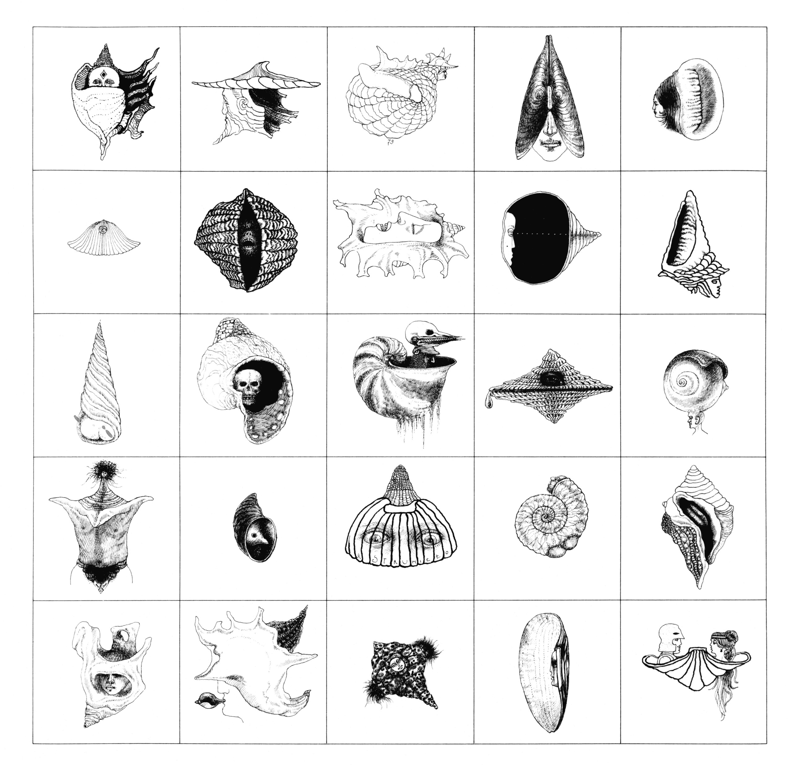 Muszloportrety II, ink, 1975, Museum of Art in Łódź