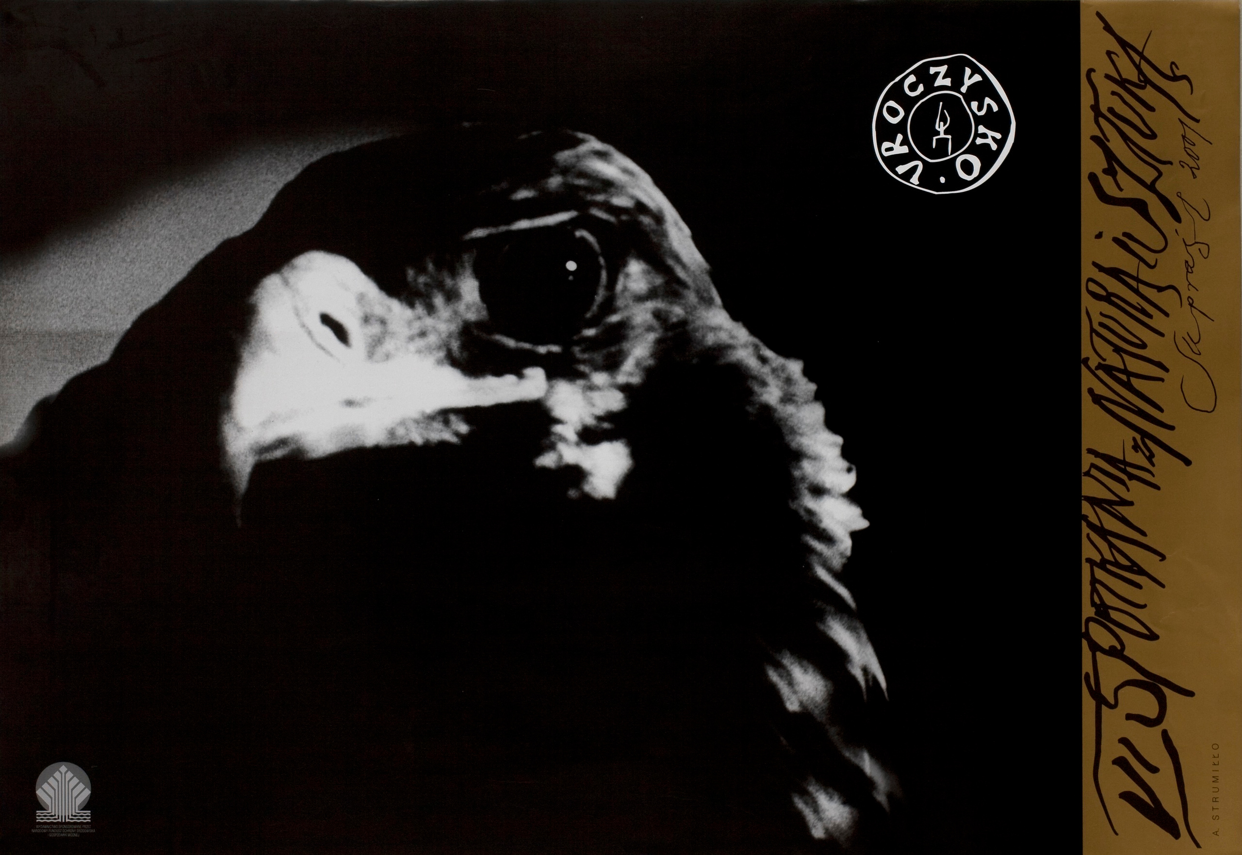 POSTERS. Andrzej Strumillo