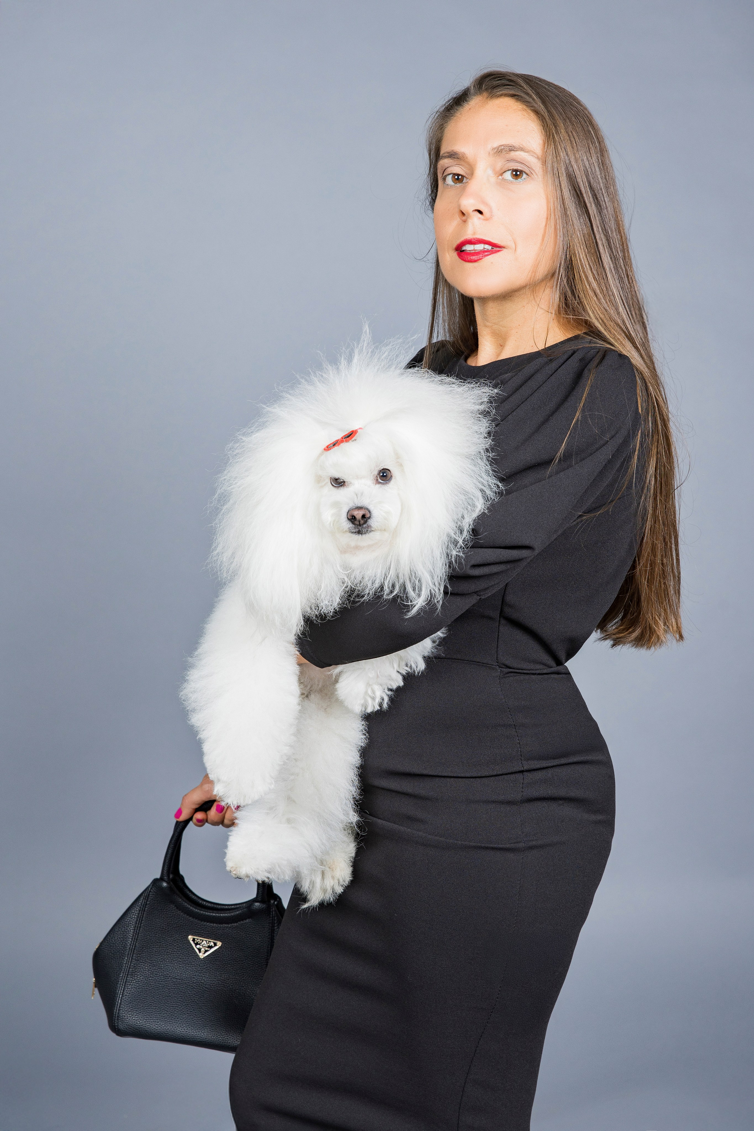 Fotografía de Mascotas en Madrid - Rainbox. Rainbox Estudio de Fotografía