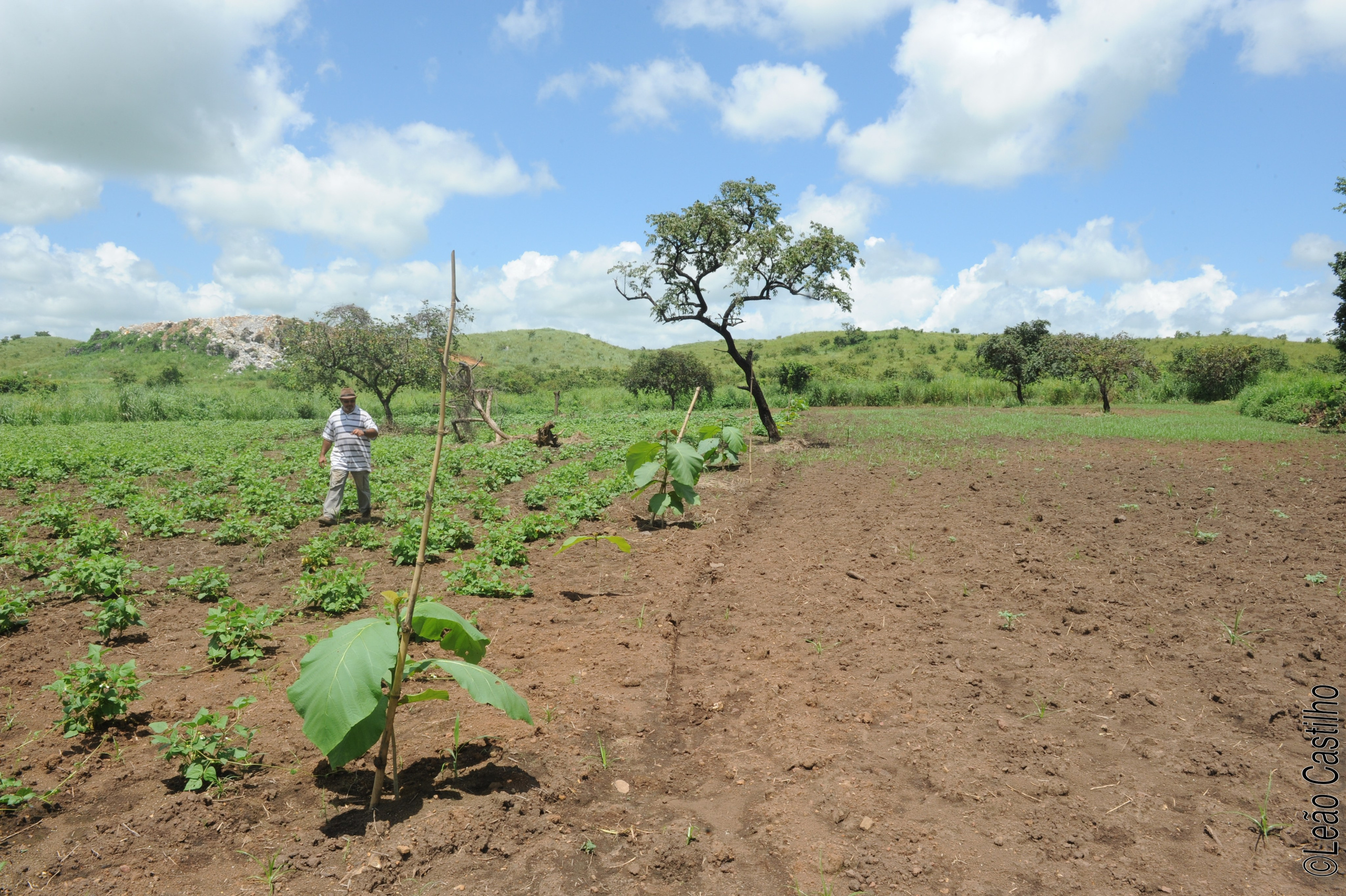 Photos of agriculture for the people of Muindi project. Simbahalu
