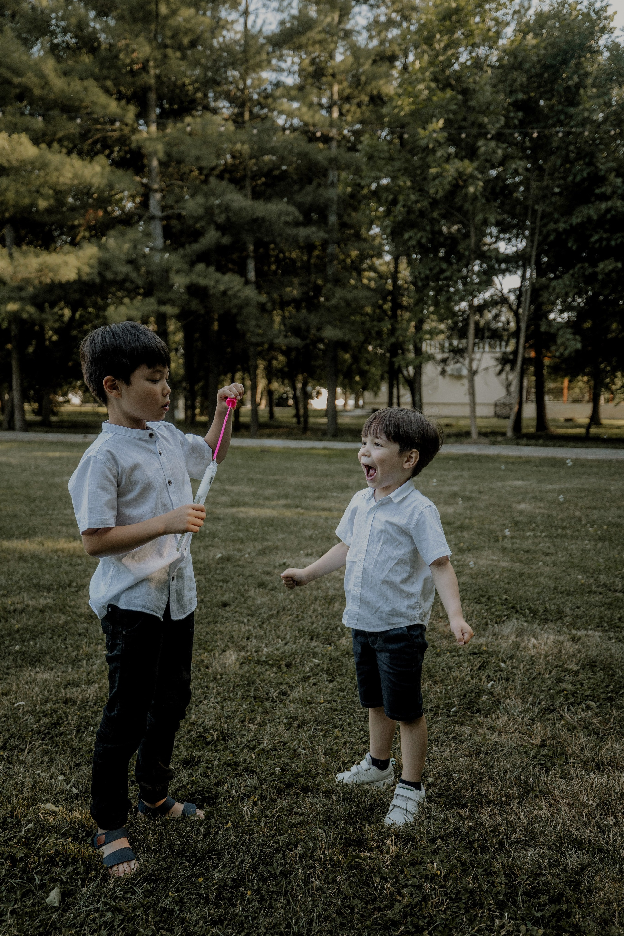 1 an de calatorie sub soare, minunata Hana!. Emotions Photo Art