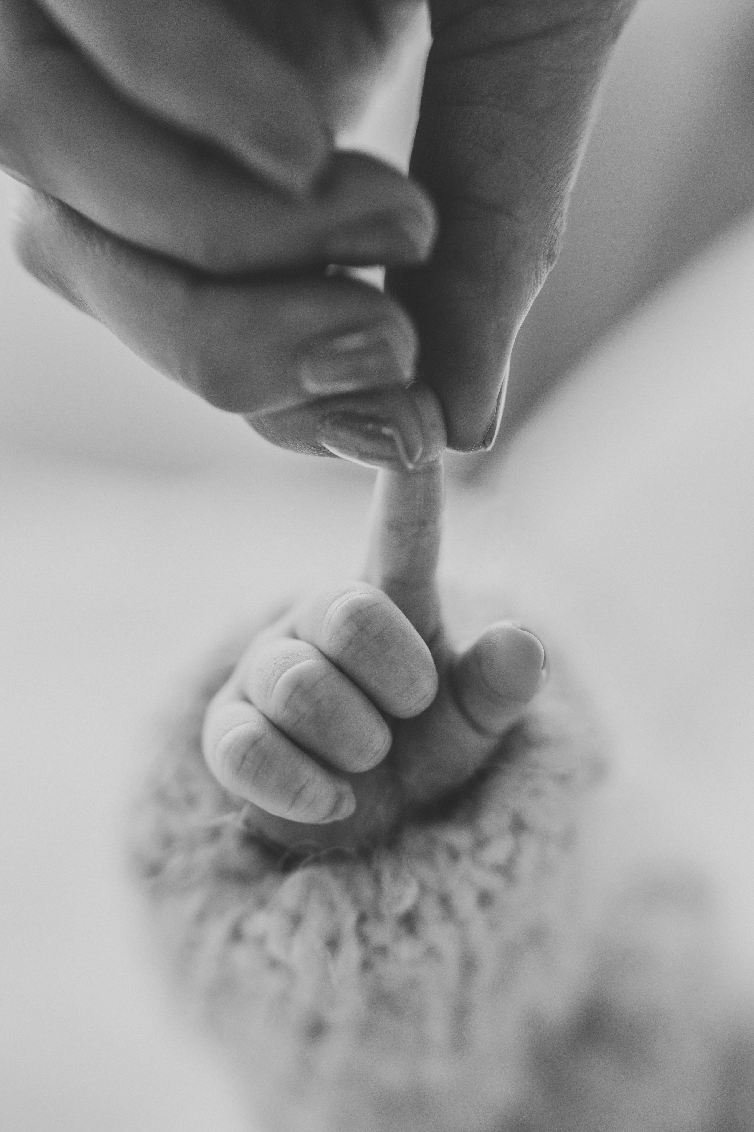 Newborn. Anna Levina Photography