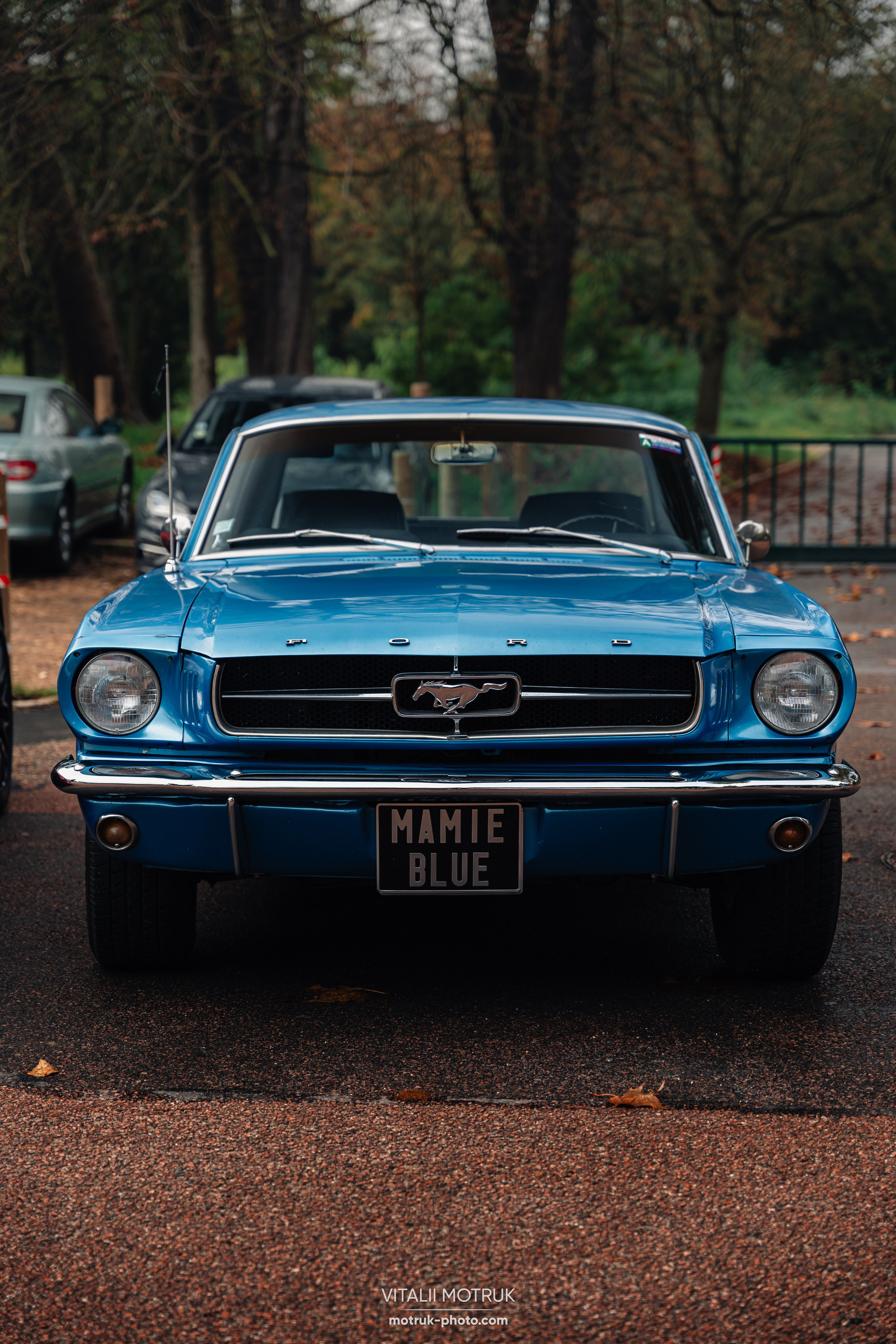 Rassemblement d’Auteuil 27 octobre 2024. Photographer in Paris — Vitalii Motruk