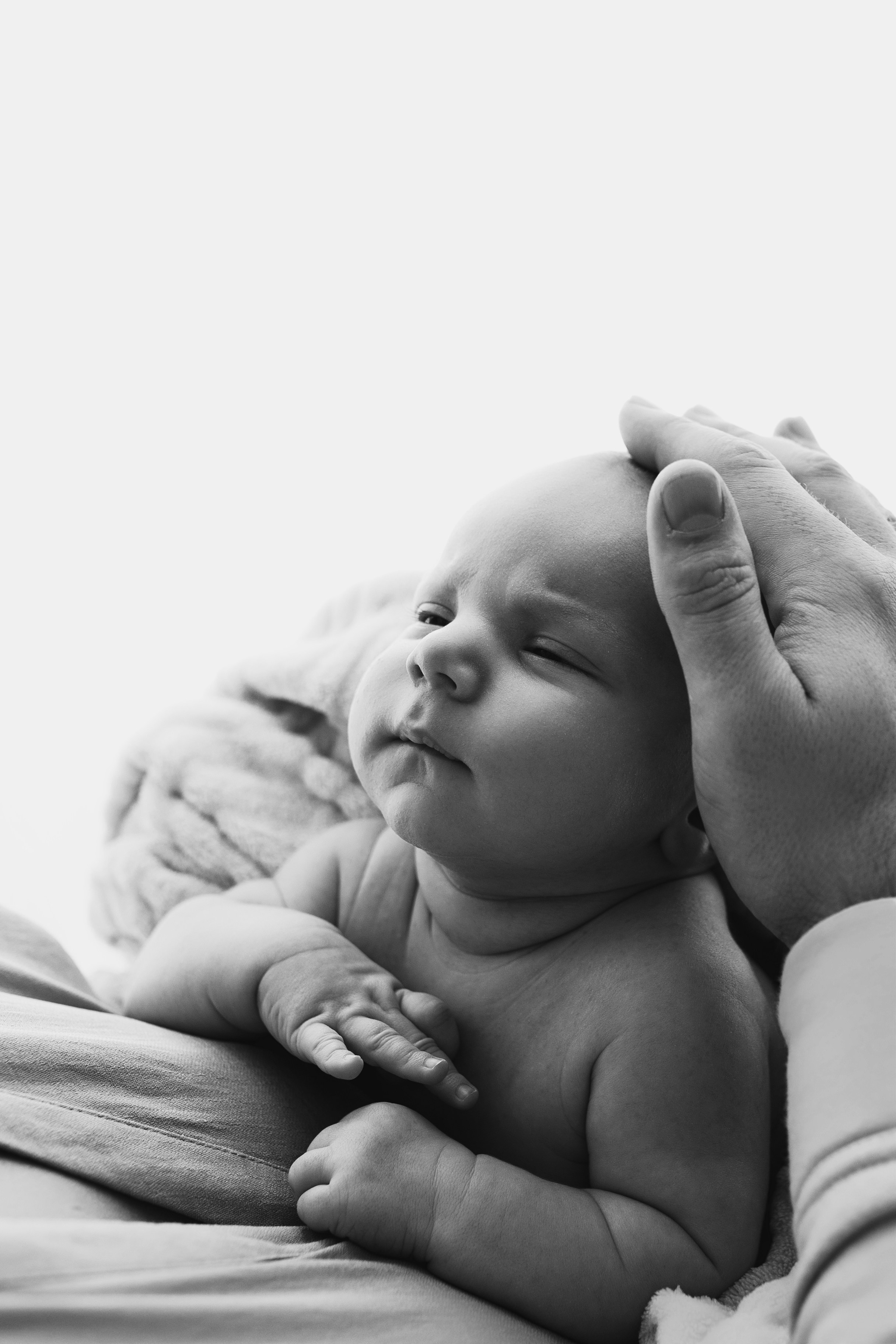 Newborn. Anna Levina Photography