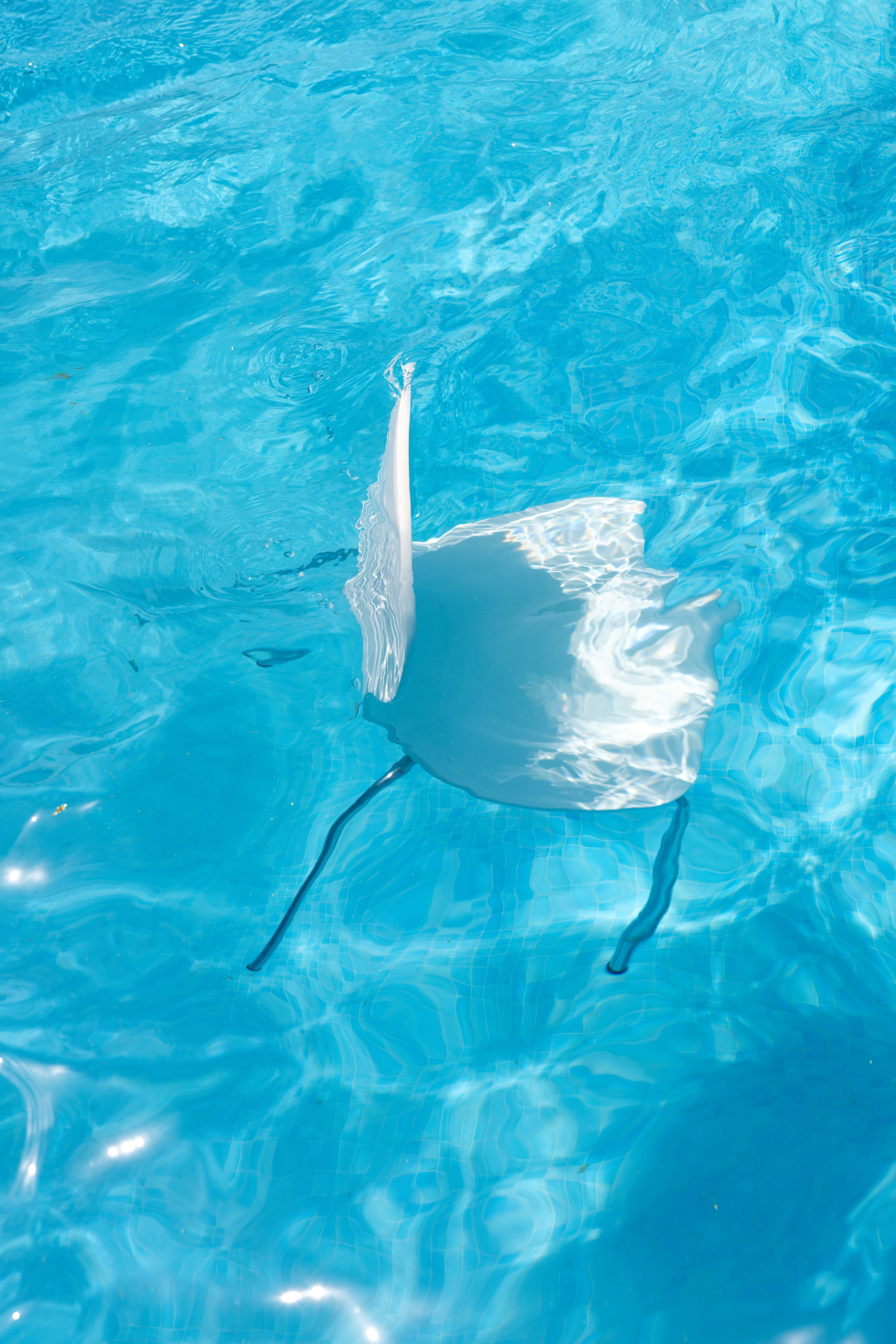 Indian wedding Haldi Ceremony & Mehndi Night at Masia Nur, Sitges, Spain Preview