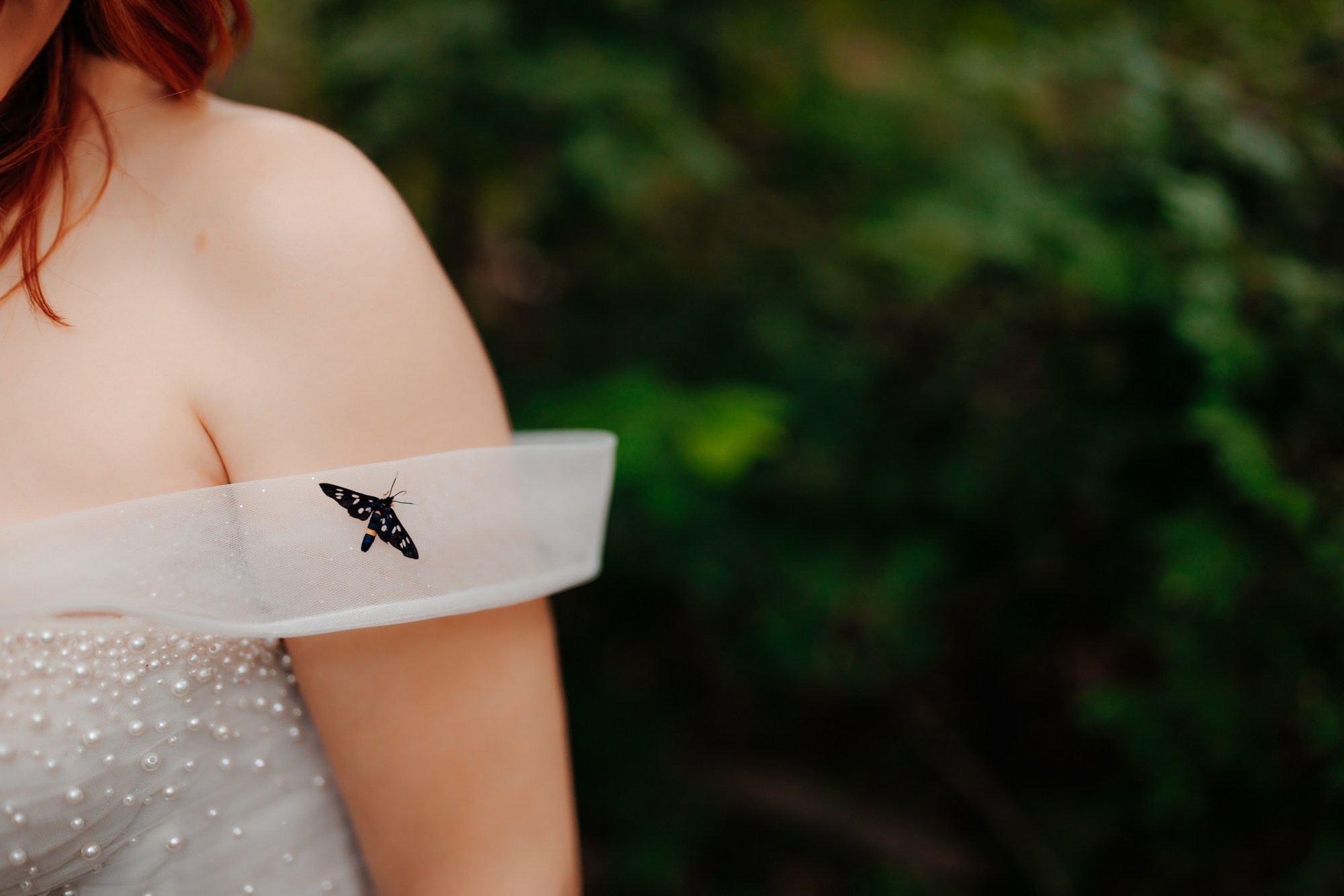 Andrei si Adelina. Fotograf și videograf de nuntă R. Moldova, Romania