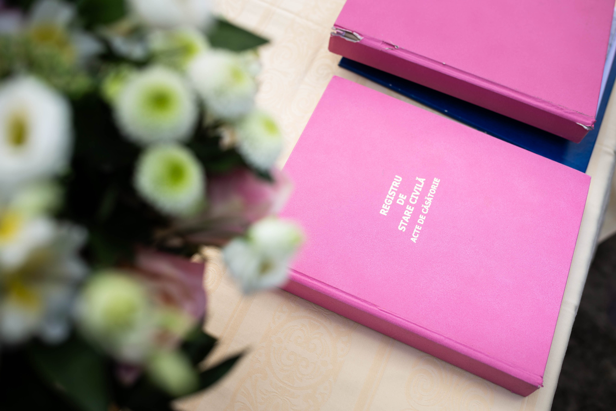 Cununie civilă Raul și Mirela. Fotograf de nuntă Balint Zsolt