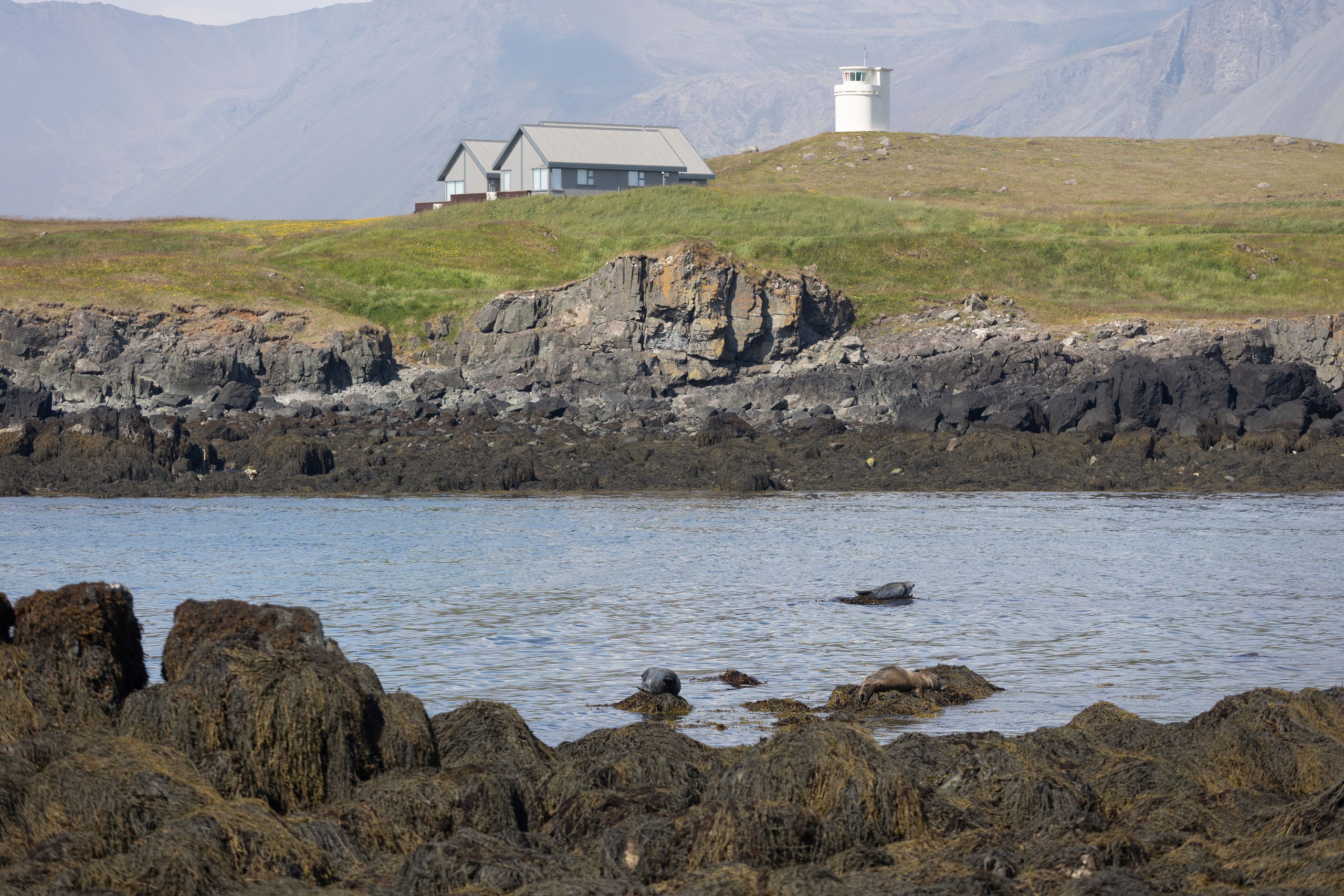 Mon voyage photo en Islande. Eugénie Smirnova — Photographe à Toulouse et dans le Sud-Ouest