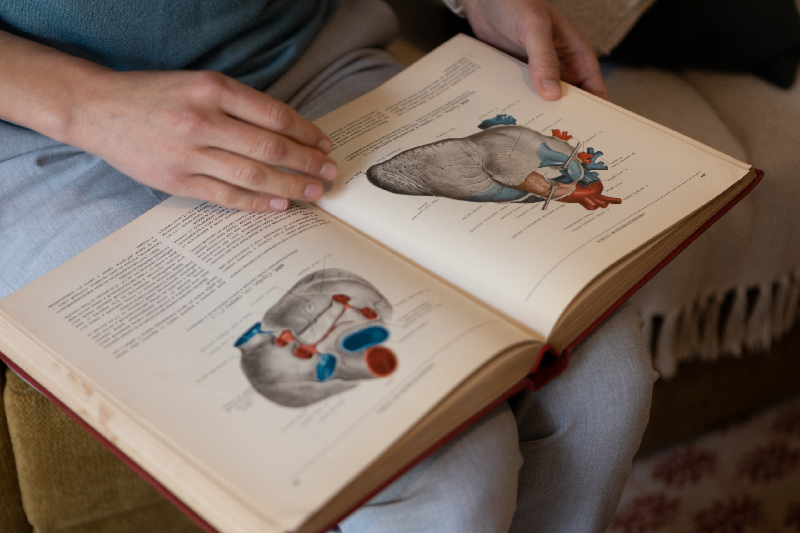 Branding photo session in Toulouse for Sculptur.all. Eugenie Smirnova — wedding, corporate and lifestyle photographer in Toulouse and Southwest France