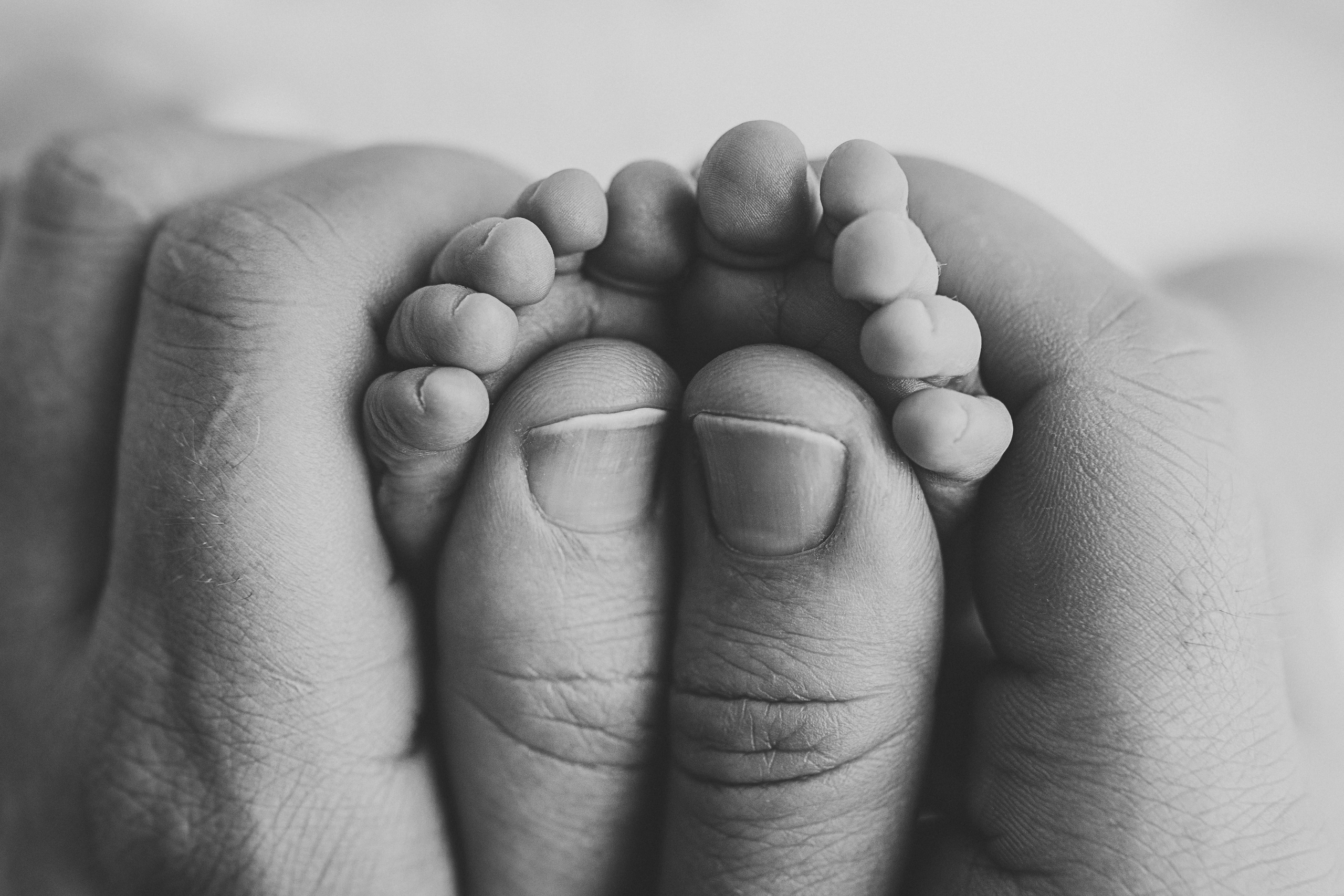 Newborn. Anna Levina Photography