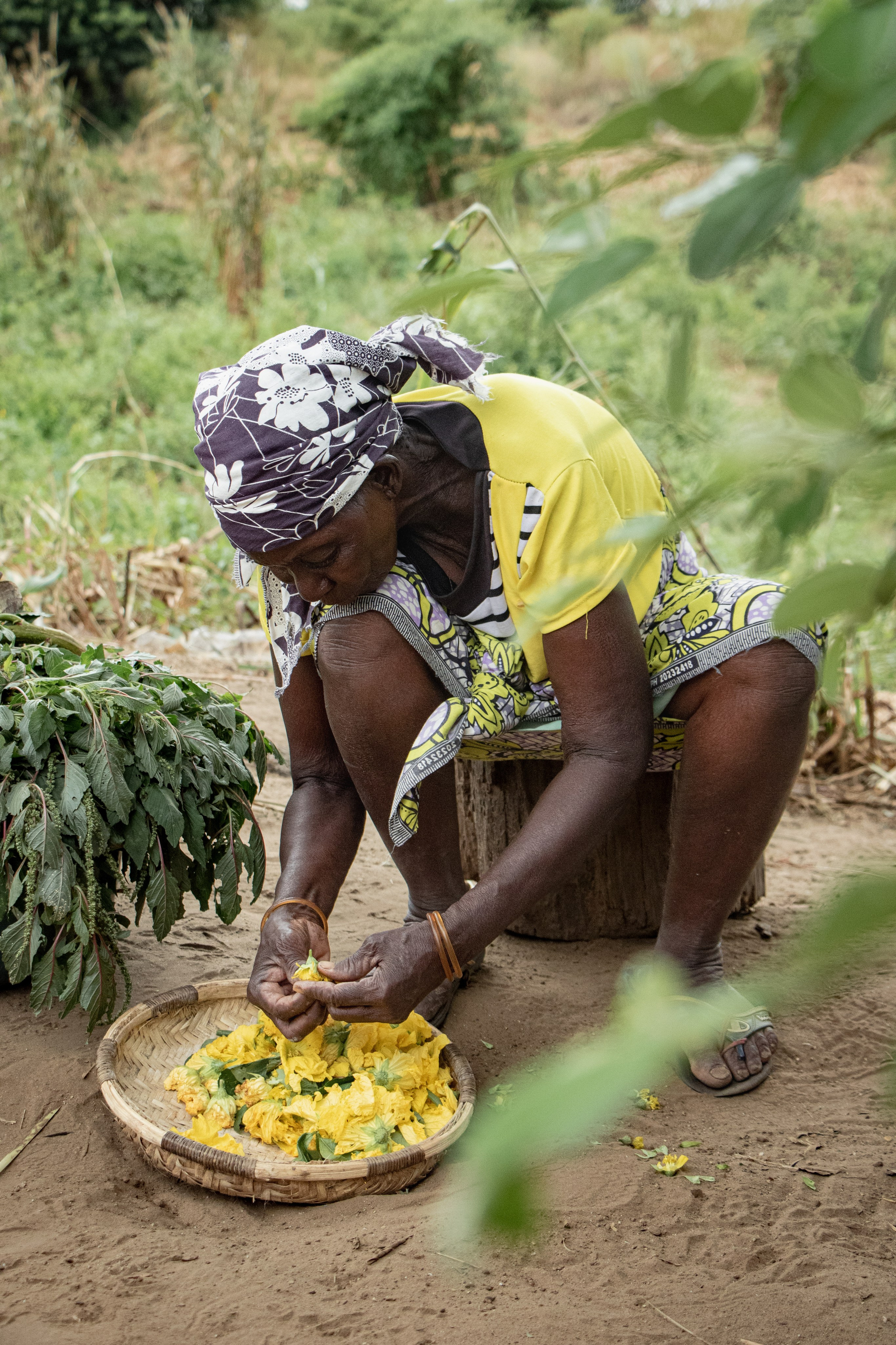 Dona Dodina récolte son champ situé en bordure du fleuve Zambèze, comme elle le fait depuis toujours. Les habitants de cette région vivent de leurs terres, cultivant ce que la nature leur offre pour nourrir leurs familles. Mais leur mode de vie est aujourd’hui menacé par le projet de méga barrage de Mphanda Nkuwa, qui pourrait submerger ces terres fertiles et bouleverser l’équilibre local. « Ce sont nos terres. Nous mourrons ici. Nos terres, c’est nos vies. Nous sommes ici depuis trop longtemps », affirme Dona Dodina.