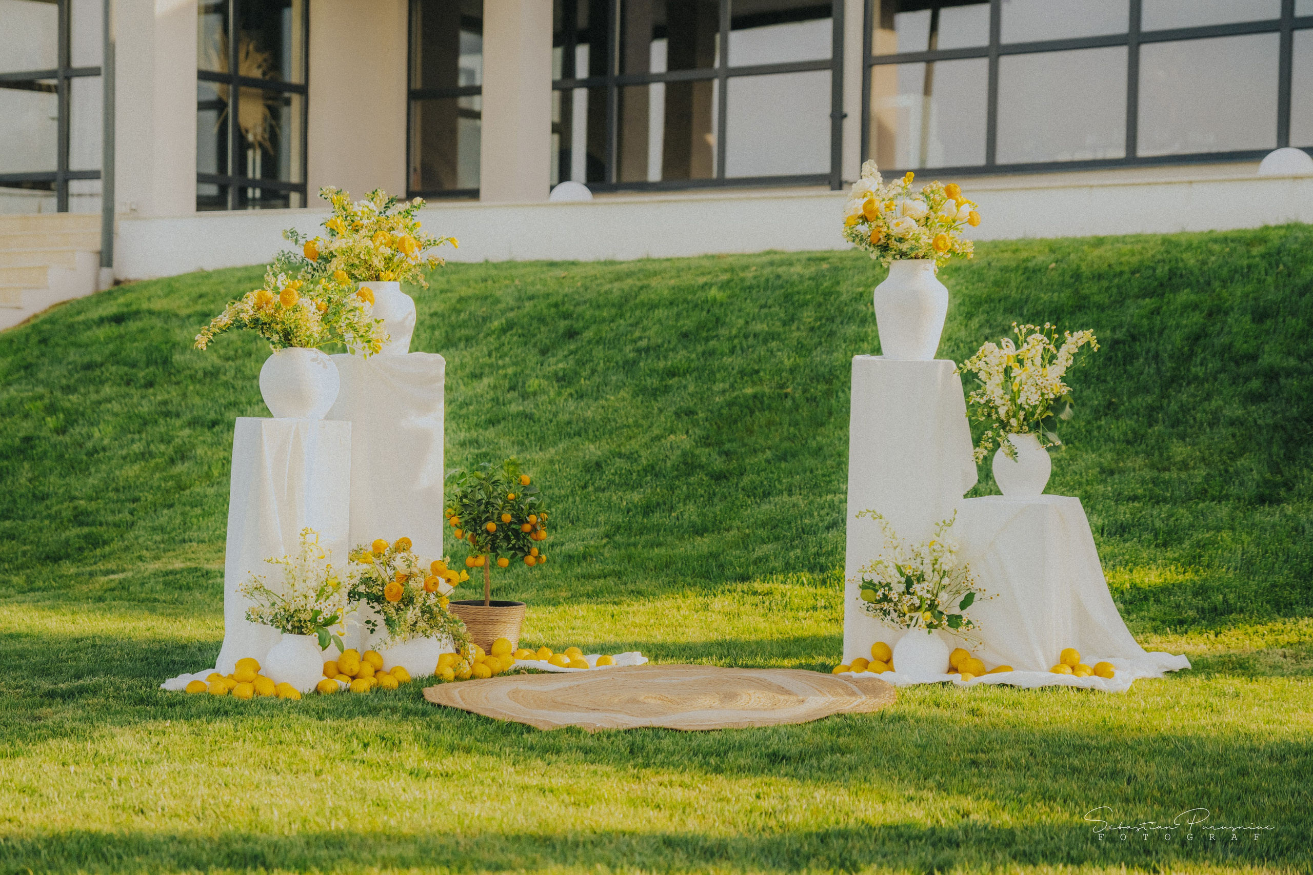 Love & Lemons. Sebastian Purusniuc Fotograf - Iasi