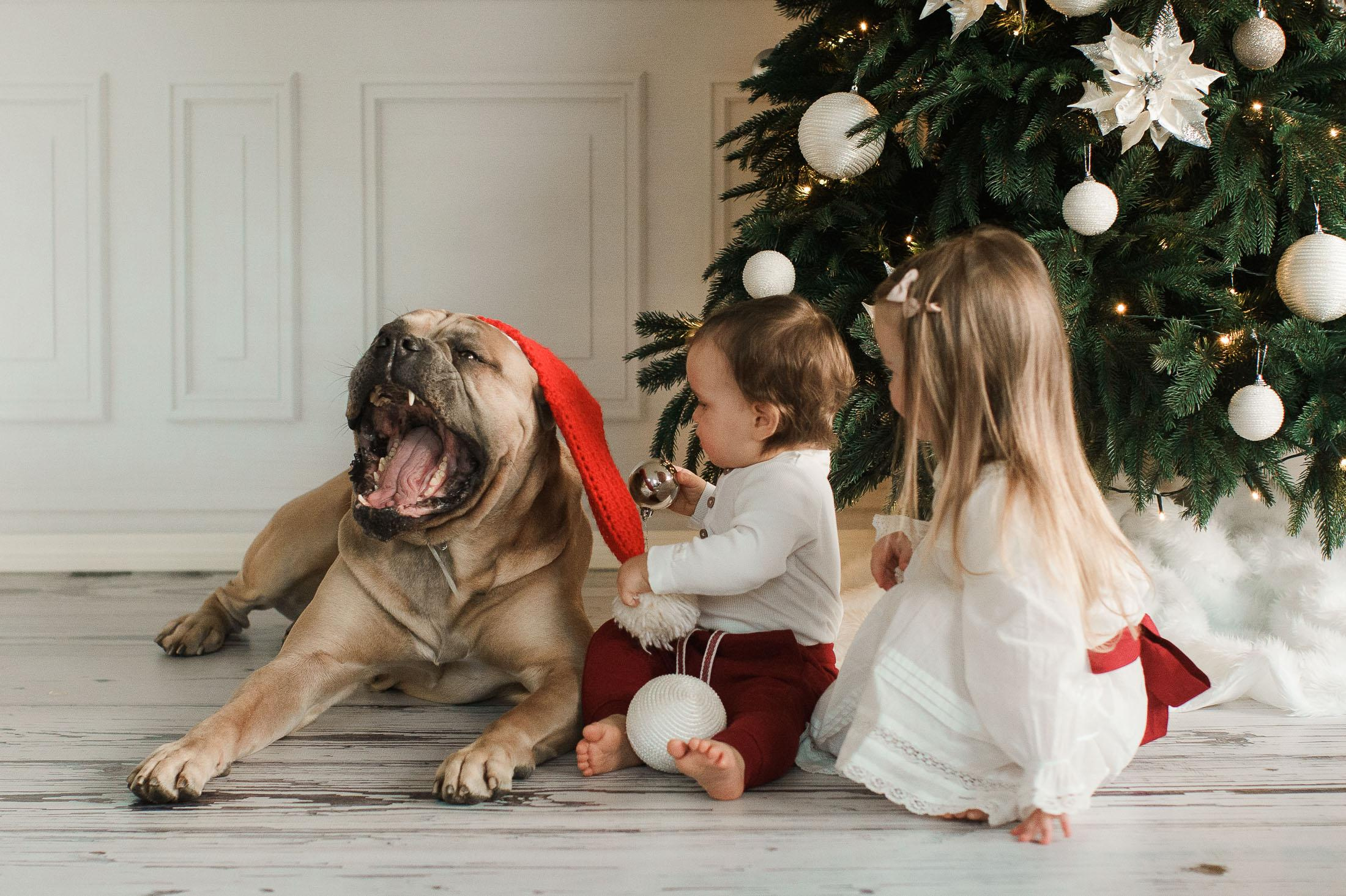 Joulukorttikuvaus asiakkaan kotona