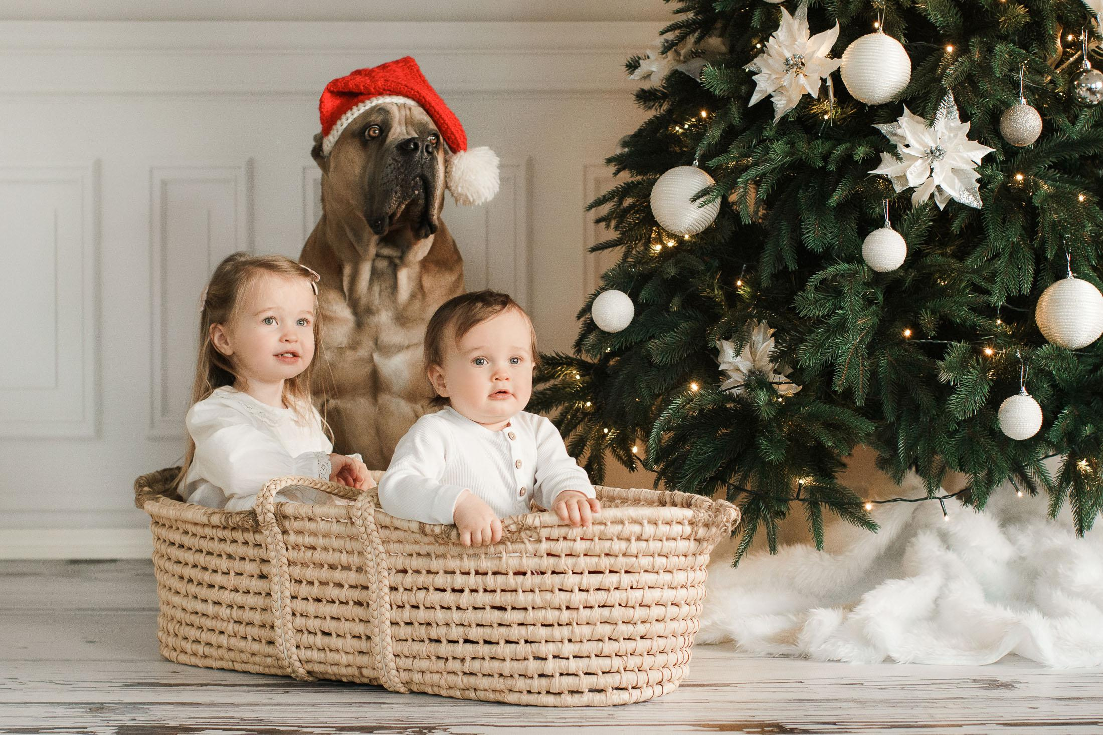 Joulukorttikuvaus asiakkaan kotona