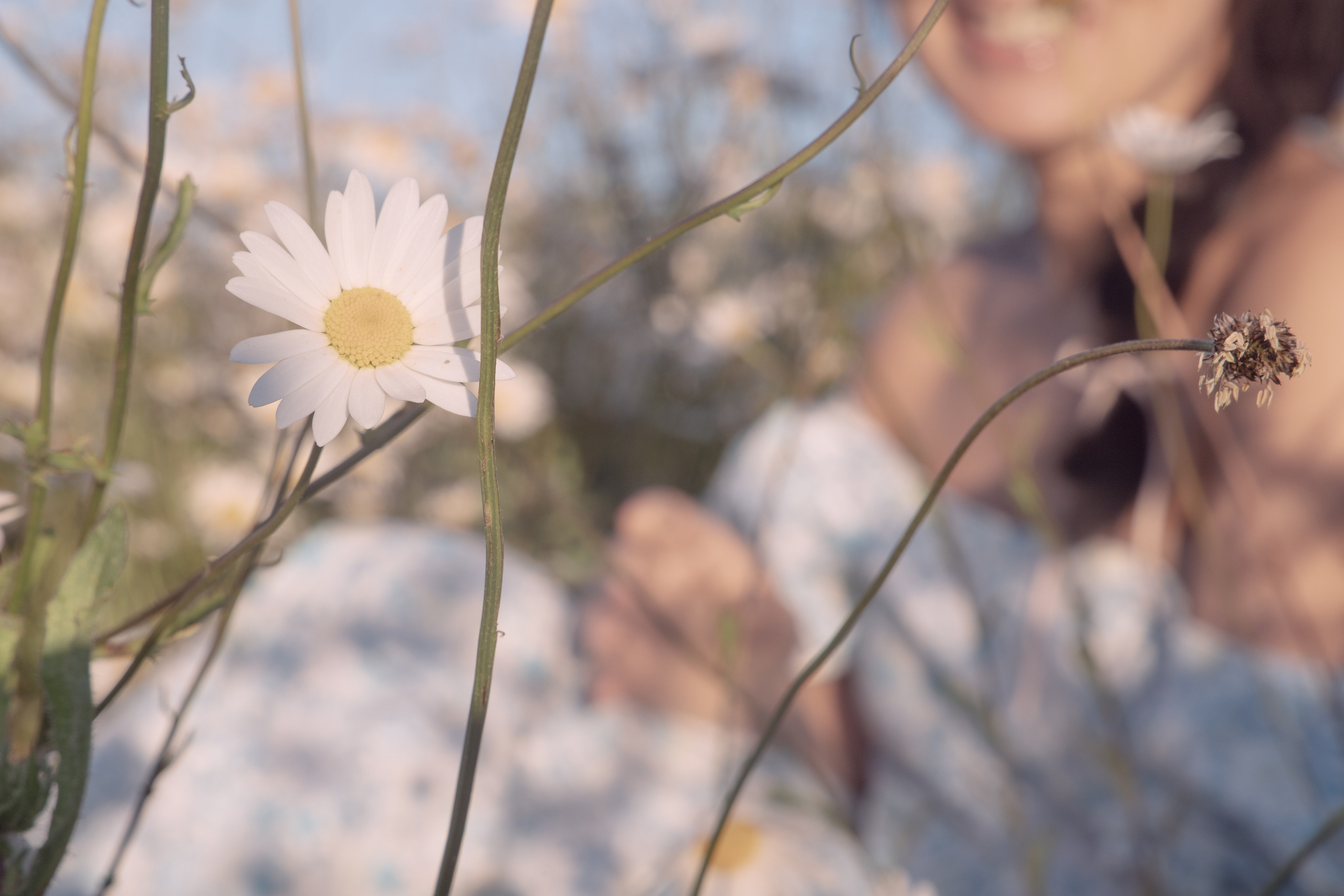 In Harmony with Nature. Natalja Poplavska — Visual artist, Photographer, East Sussex, London