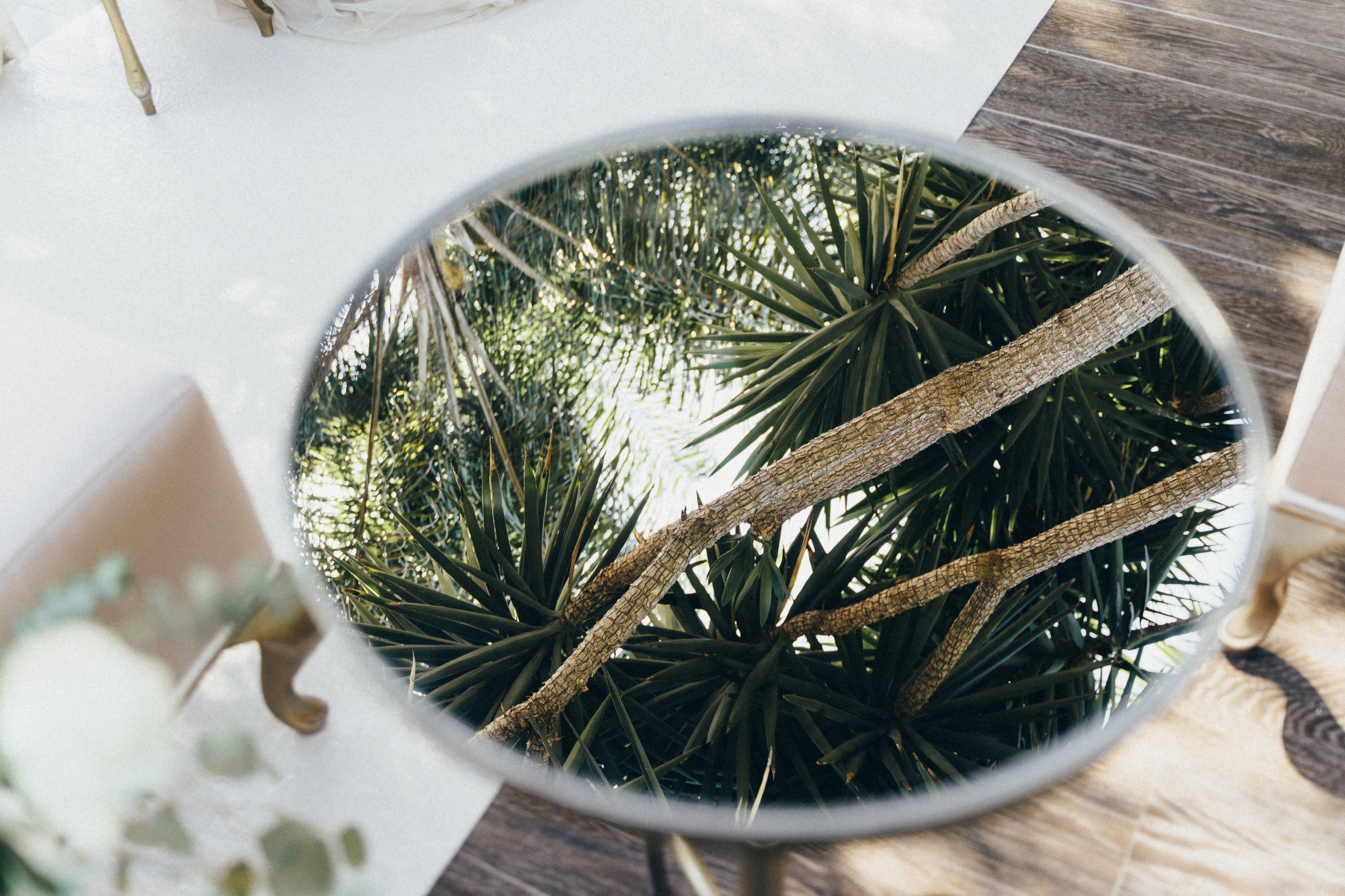 Фотограф в Португалии Александра Ефимова