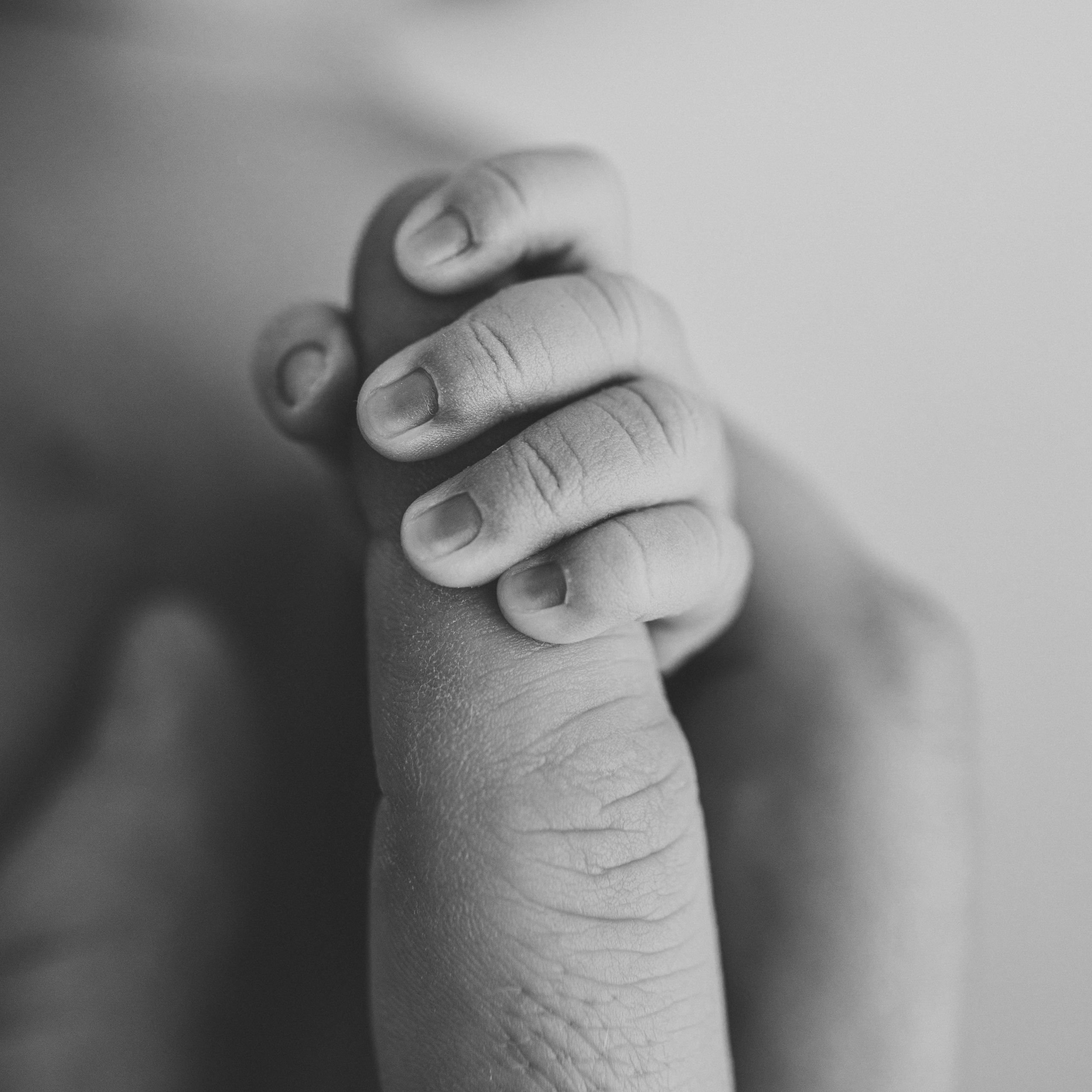 Newborn. Anna Levina Photography