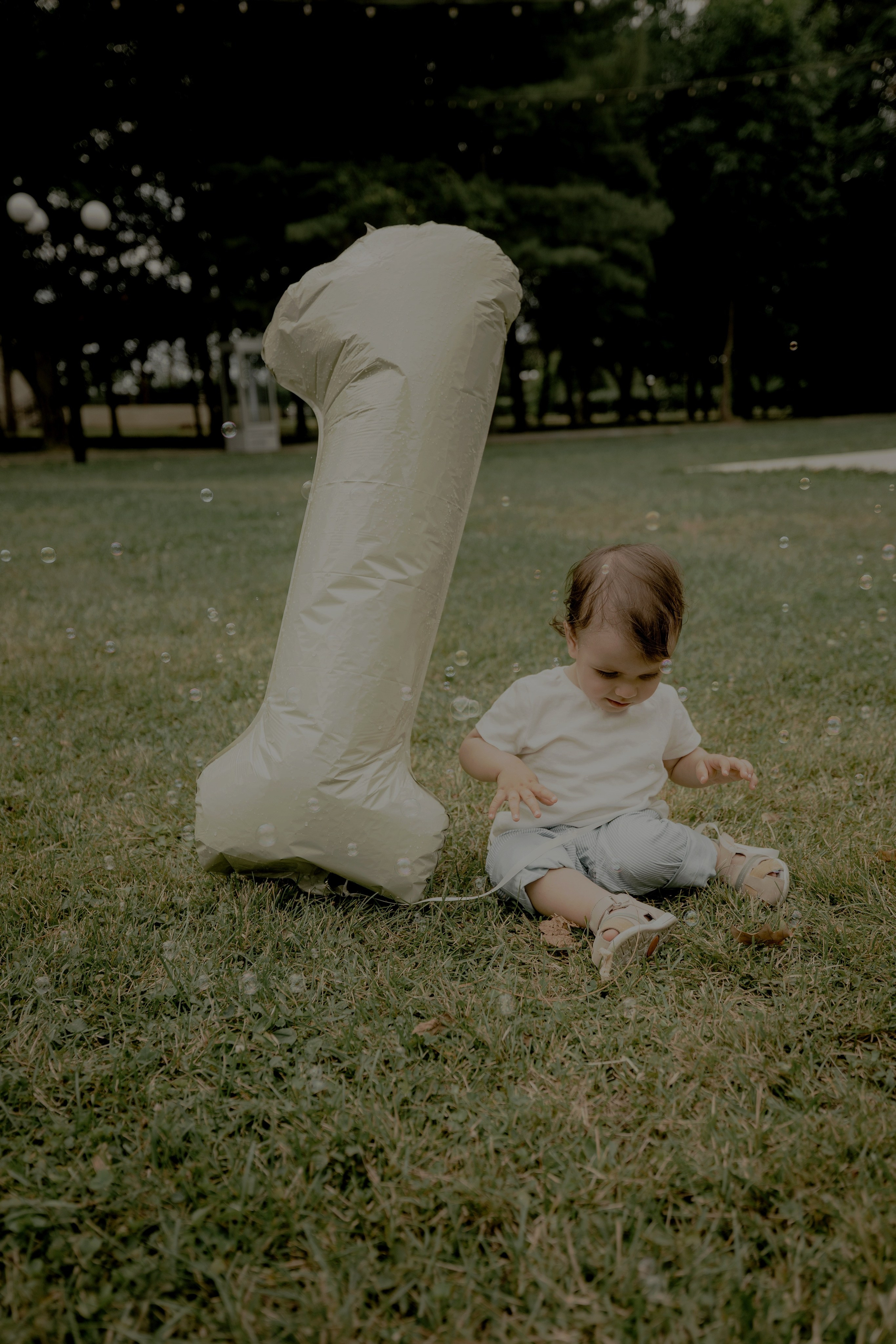 Armin — Micul explorator împlinește 1 an. Emotions Photo Art