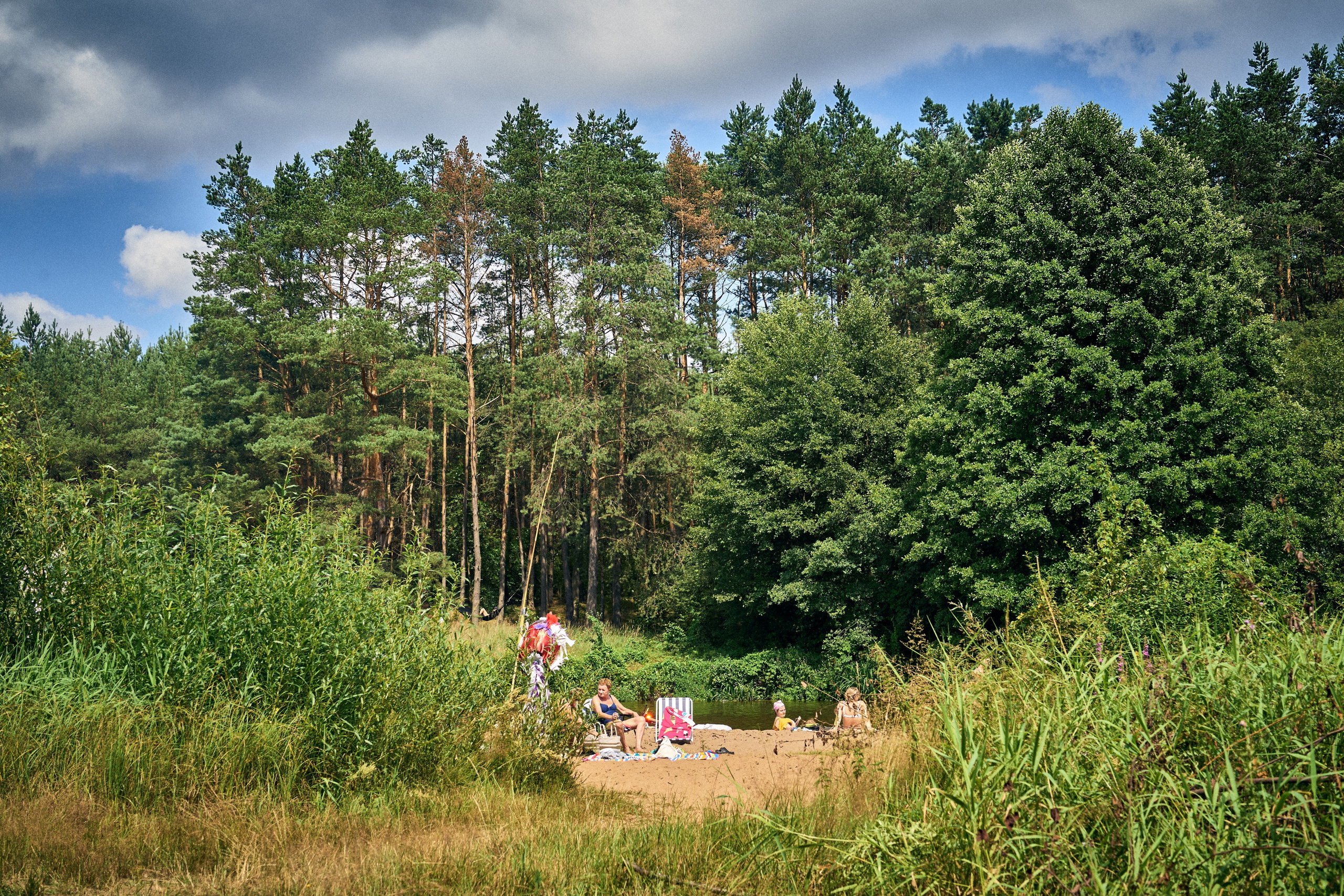Organic Festival 2024. Andriej Szypilow — Photography & Videography