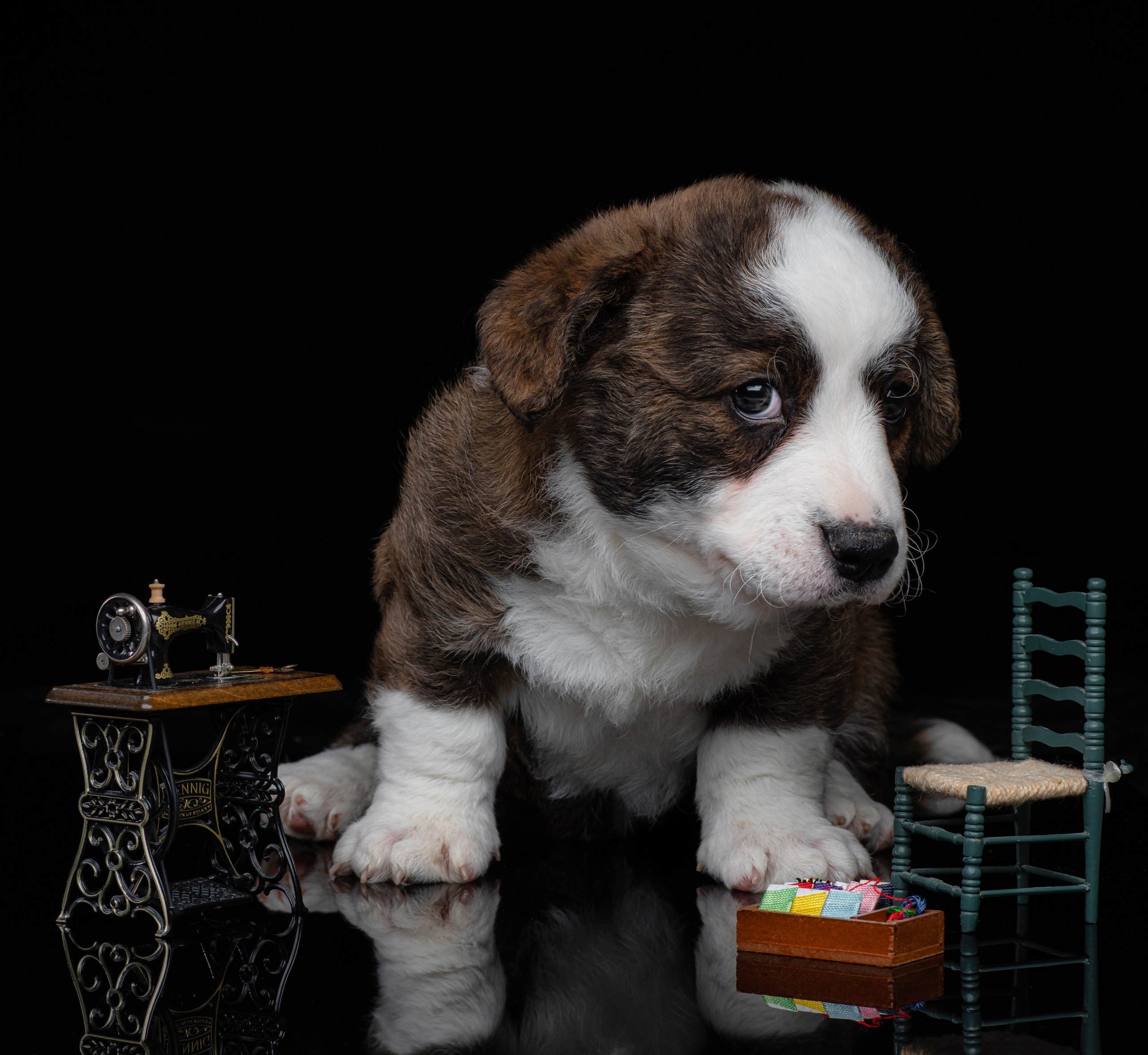 Photographe à Strasbourg | Portraits, Studio, Enfants, Événements