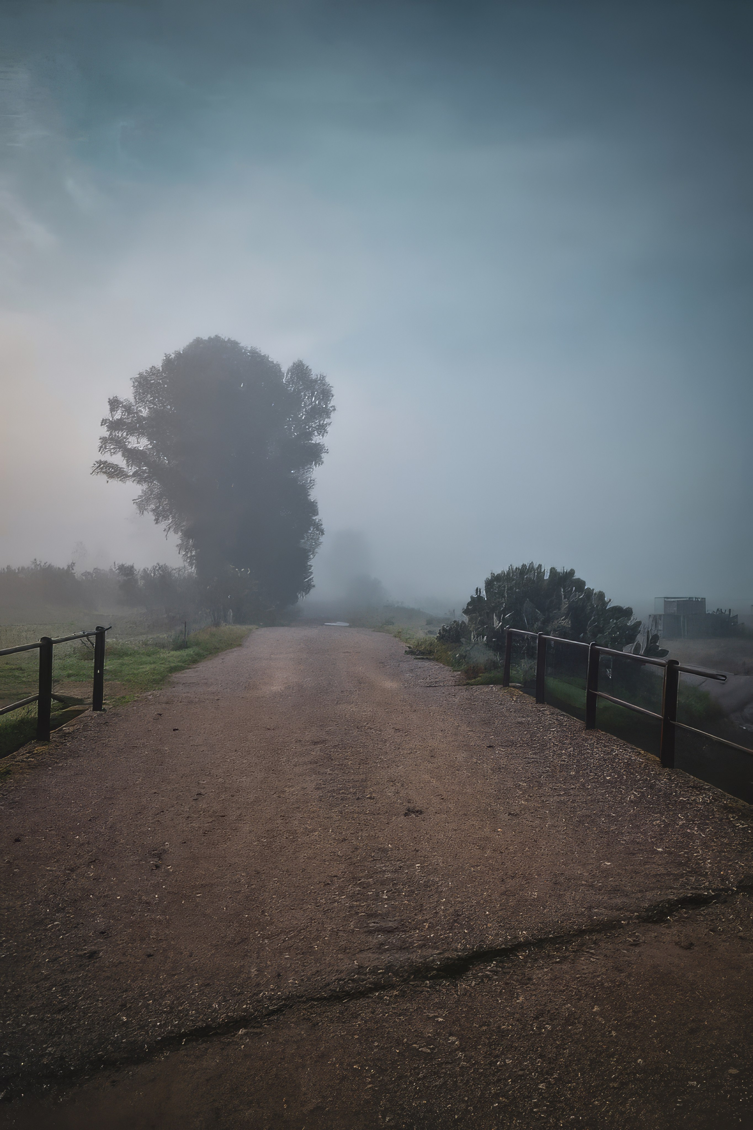 Paesaggi. Olga Manukhina fotografo in Sardegna