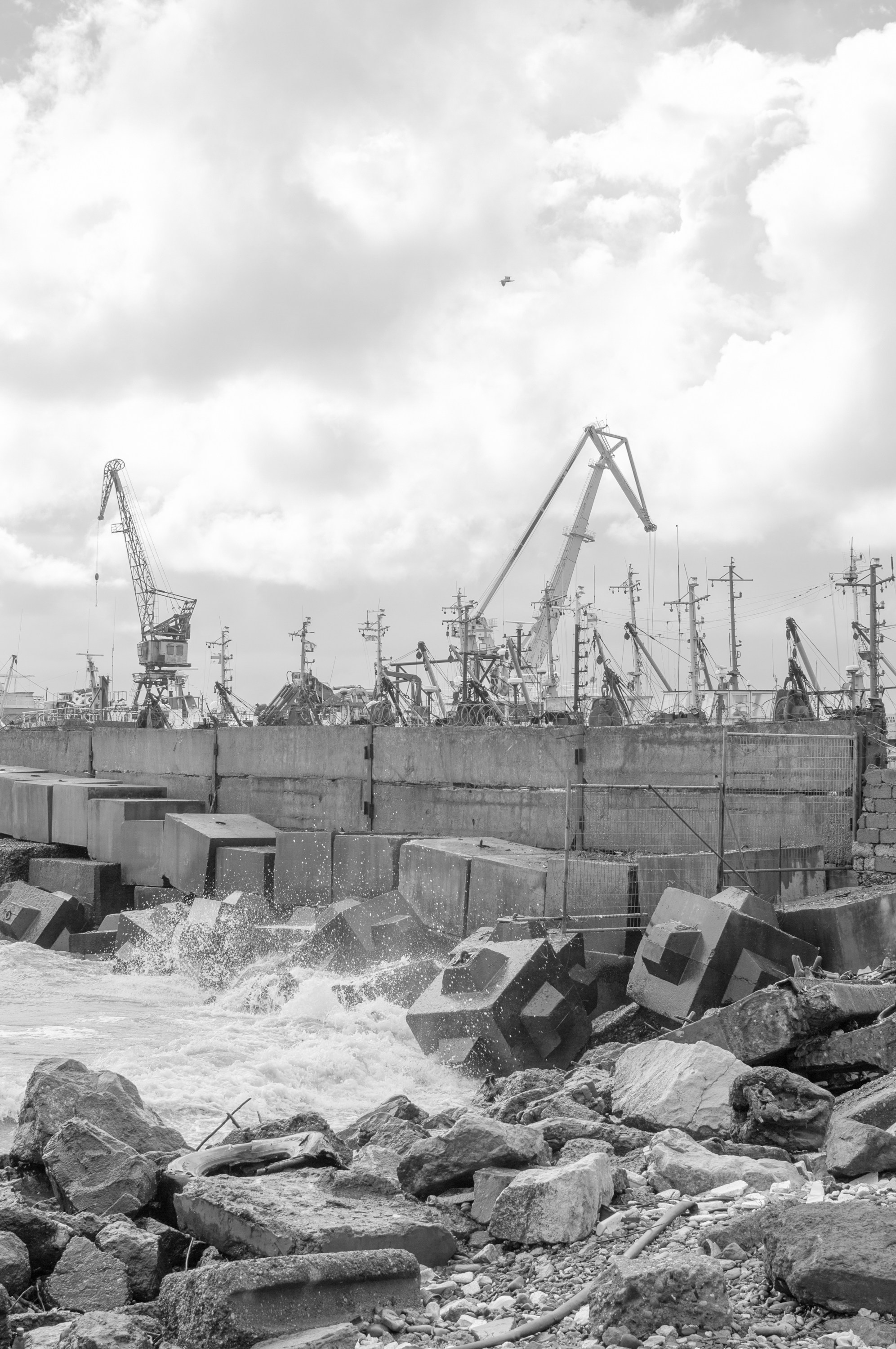 Under the Phasis' Sun. Mayya Kelova artist