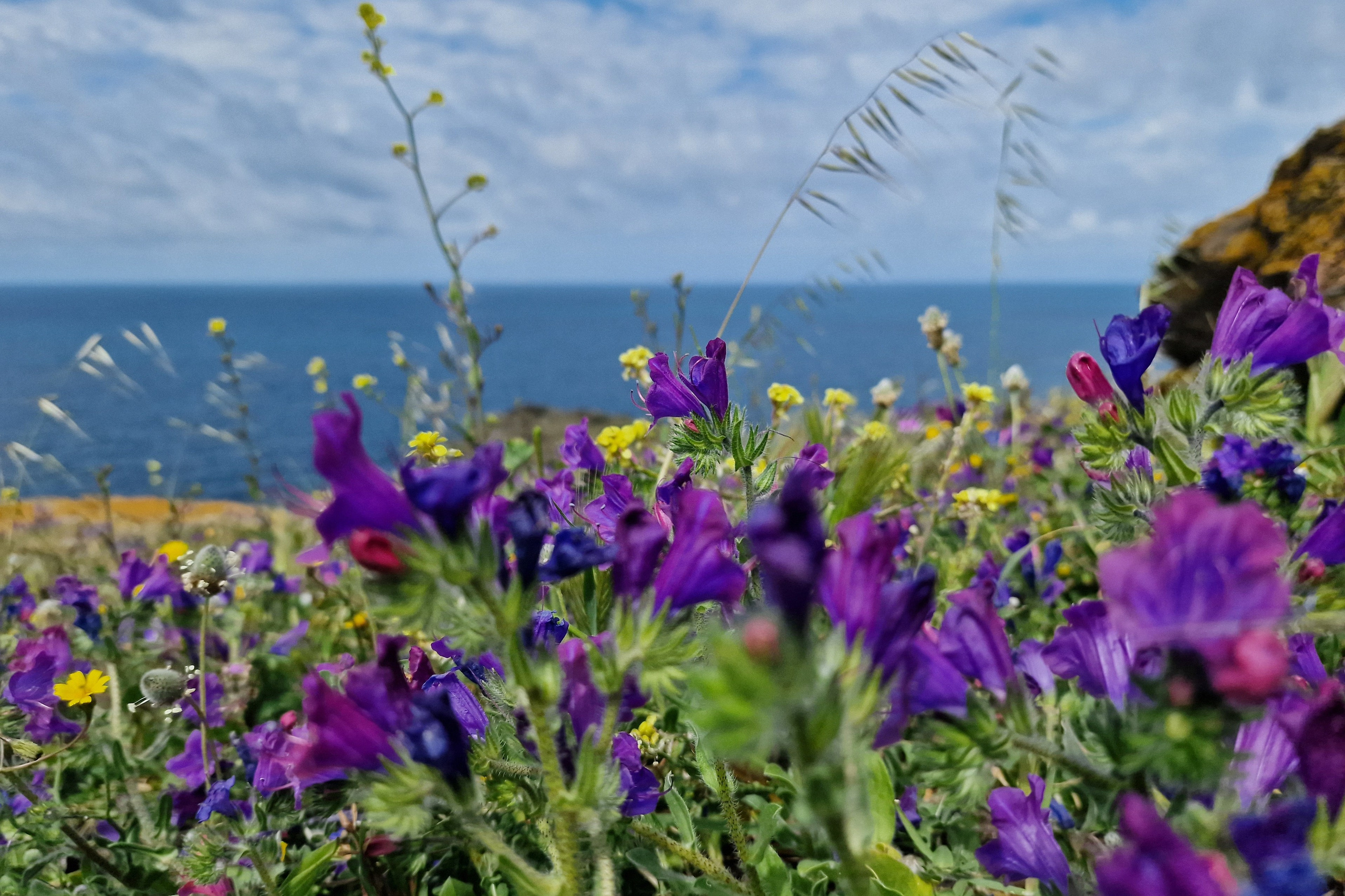 Paesaggi. Olga Manukhina fotografo in Sardegna