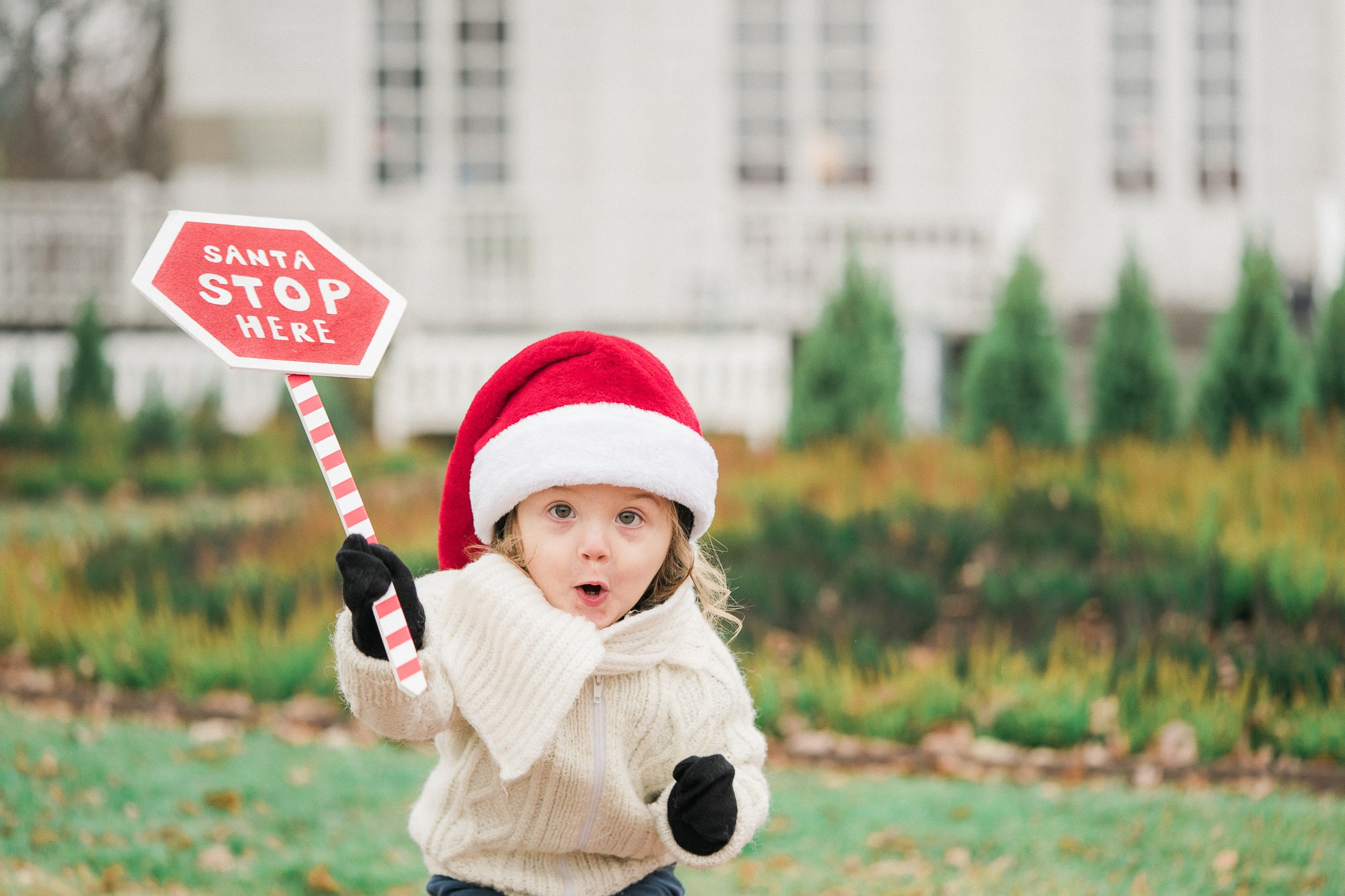 Joulukorttikuvaus miljöössä