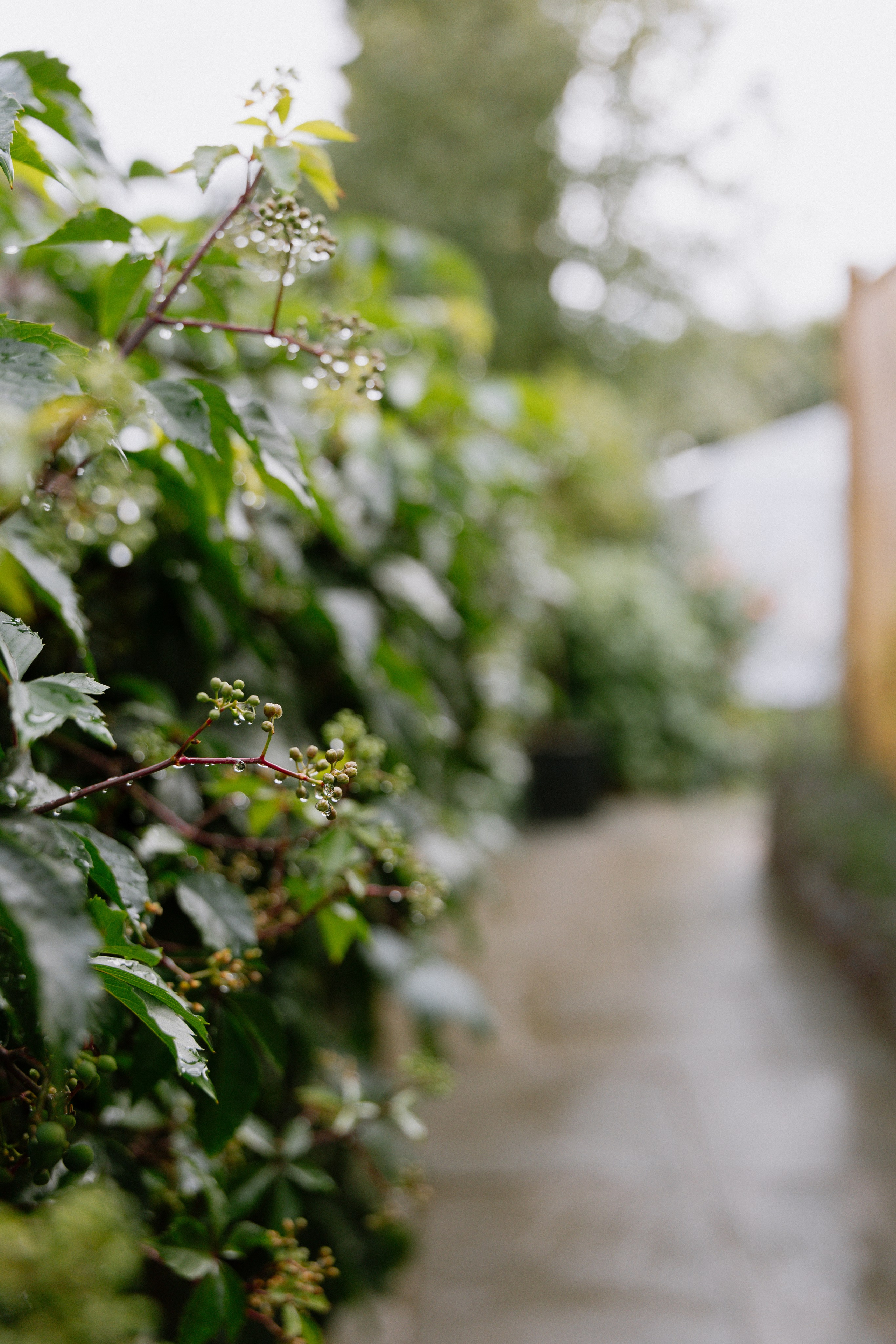 Intimate and emotional wedding. Timeless Wedding & Event Photography — based London, working across Europe