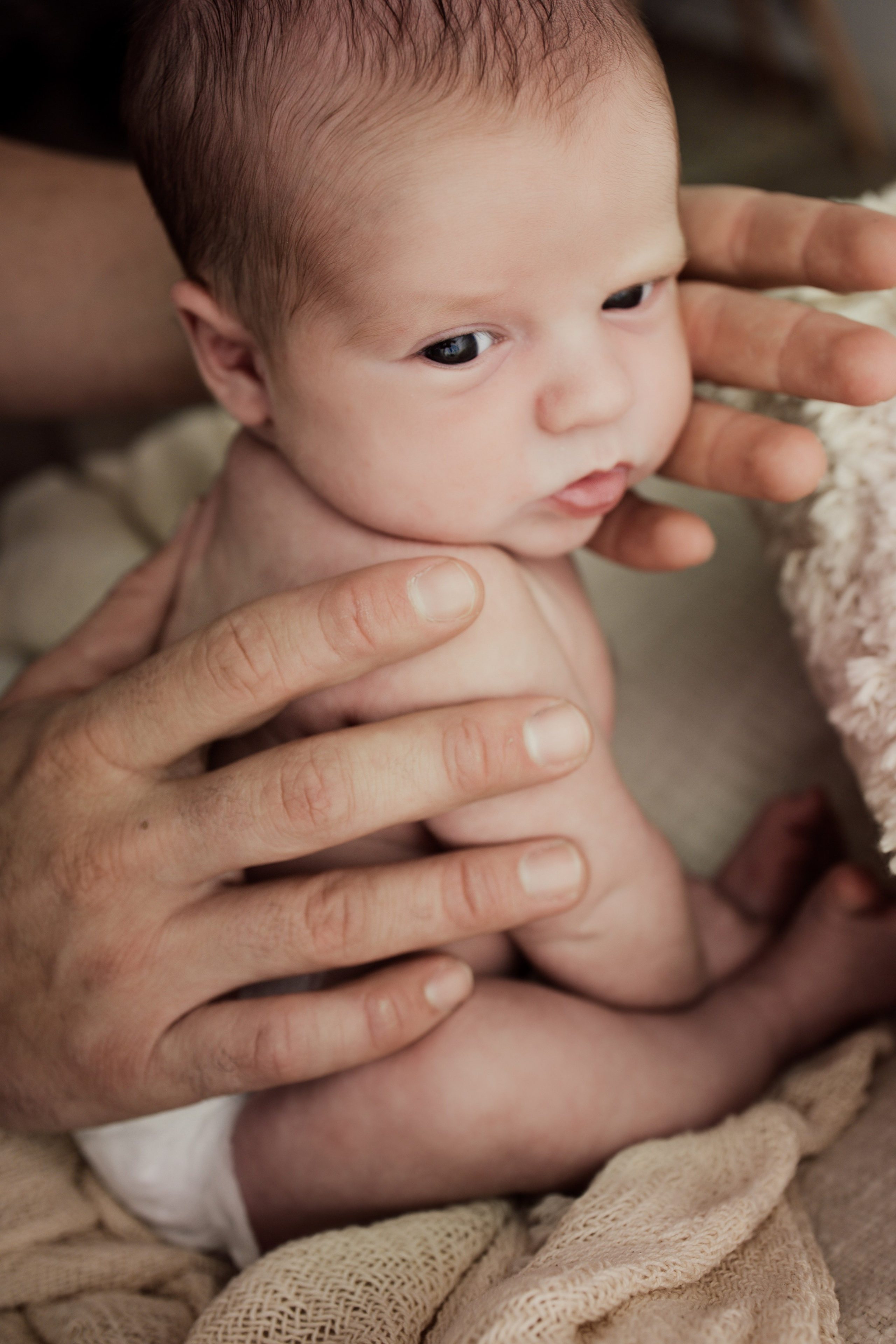 Leo, Mis Primeros Días