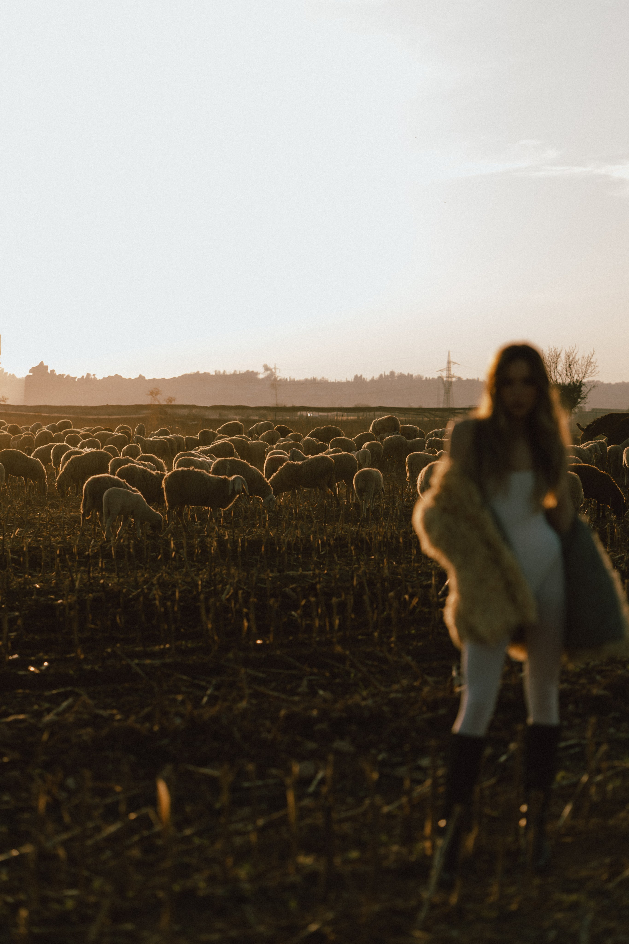 A thousand sheeps. Diana Fedrigo | Fotografa matrimoni in Italia