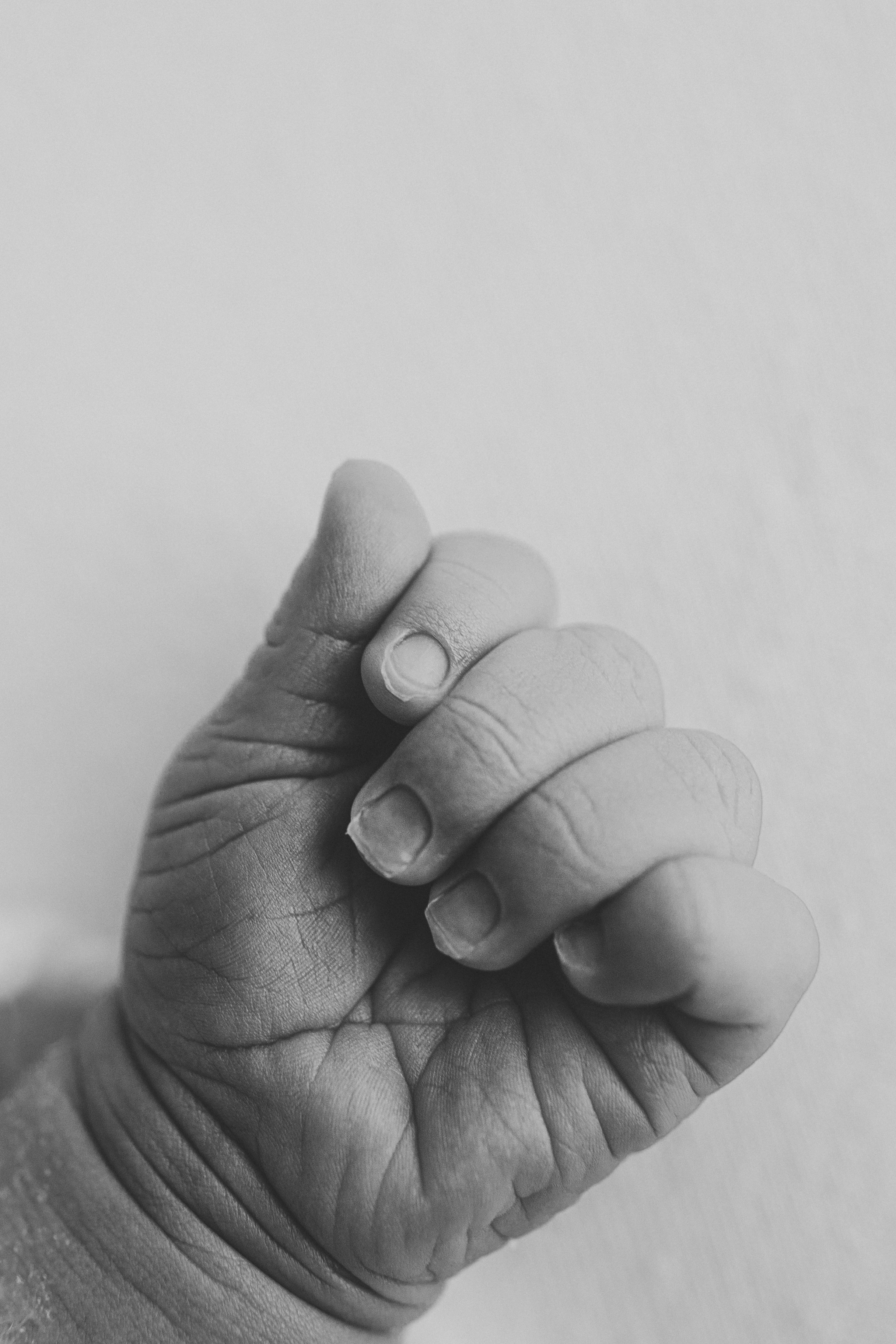 Newborn. Anna Levina Photography