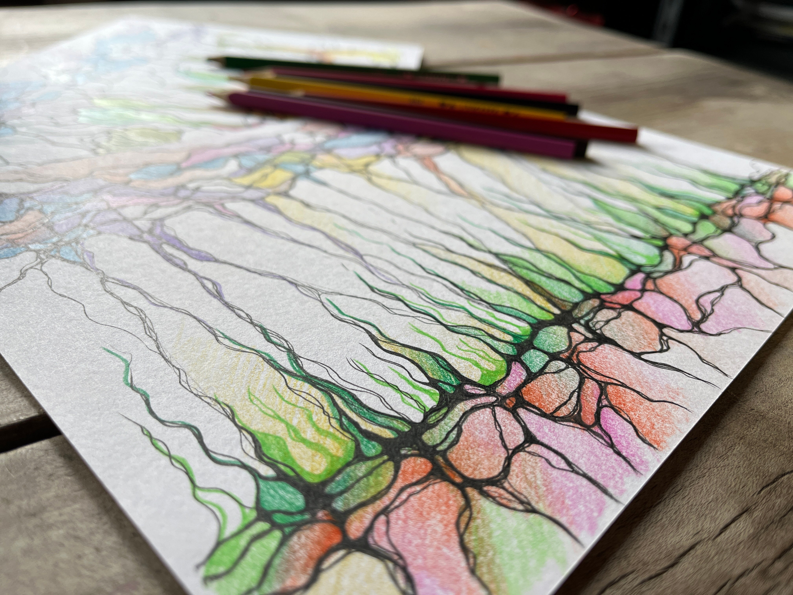 NevroDež osebne moči in talentov. Numerologija. Nevrografika. Delavnice