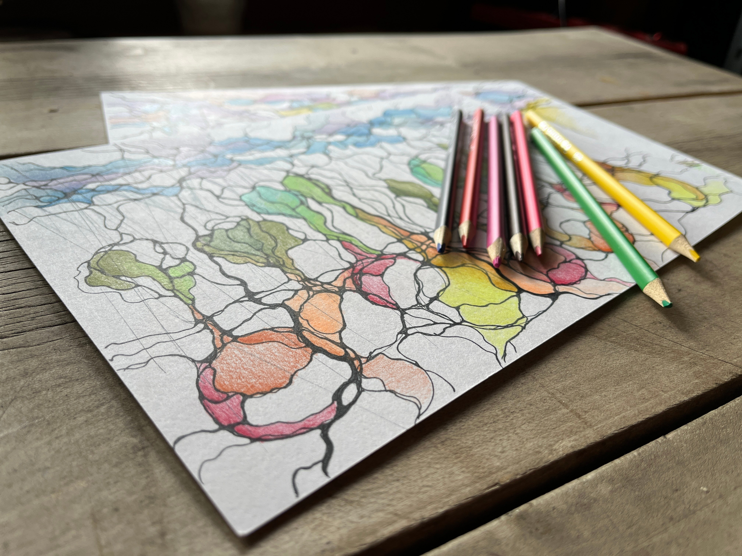 NevroDež osebne moči in talentov. Numerologija. Nevrografika. Delavnice