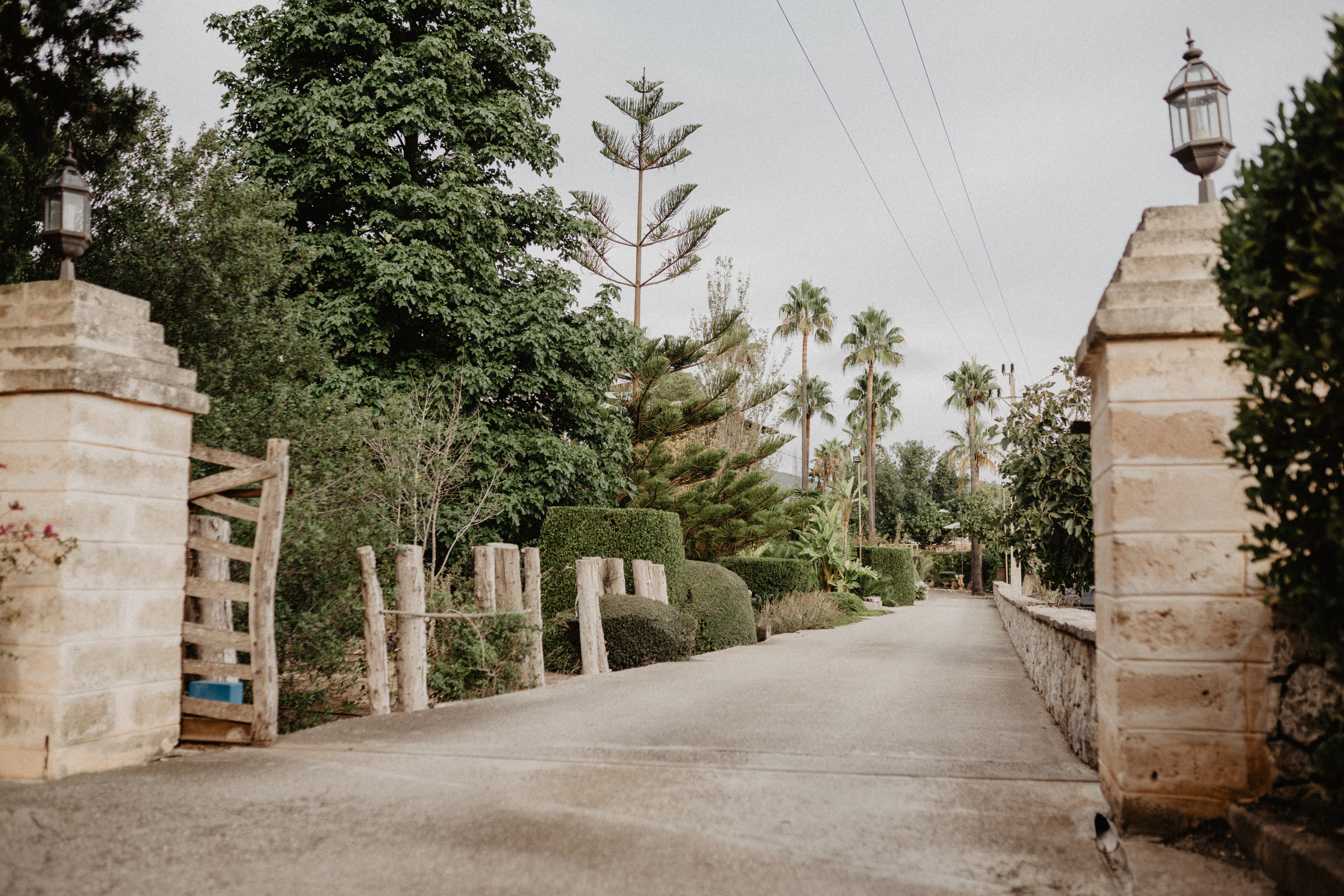 ANA & ROMÁN. Mauricio Alcibar – Fotógrafo de bodas y familias en Palma de Mallorca