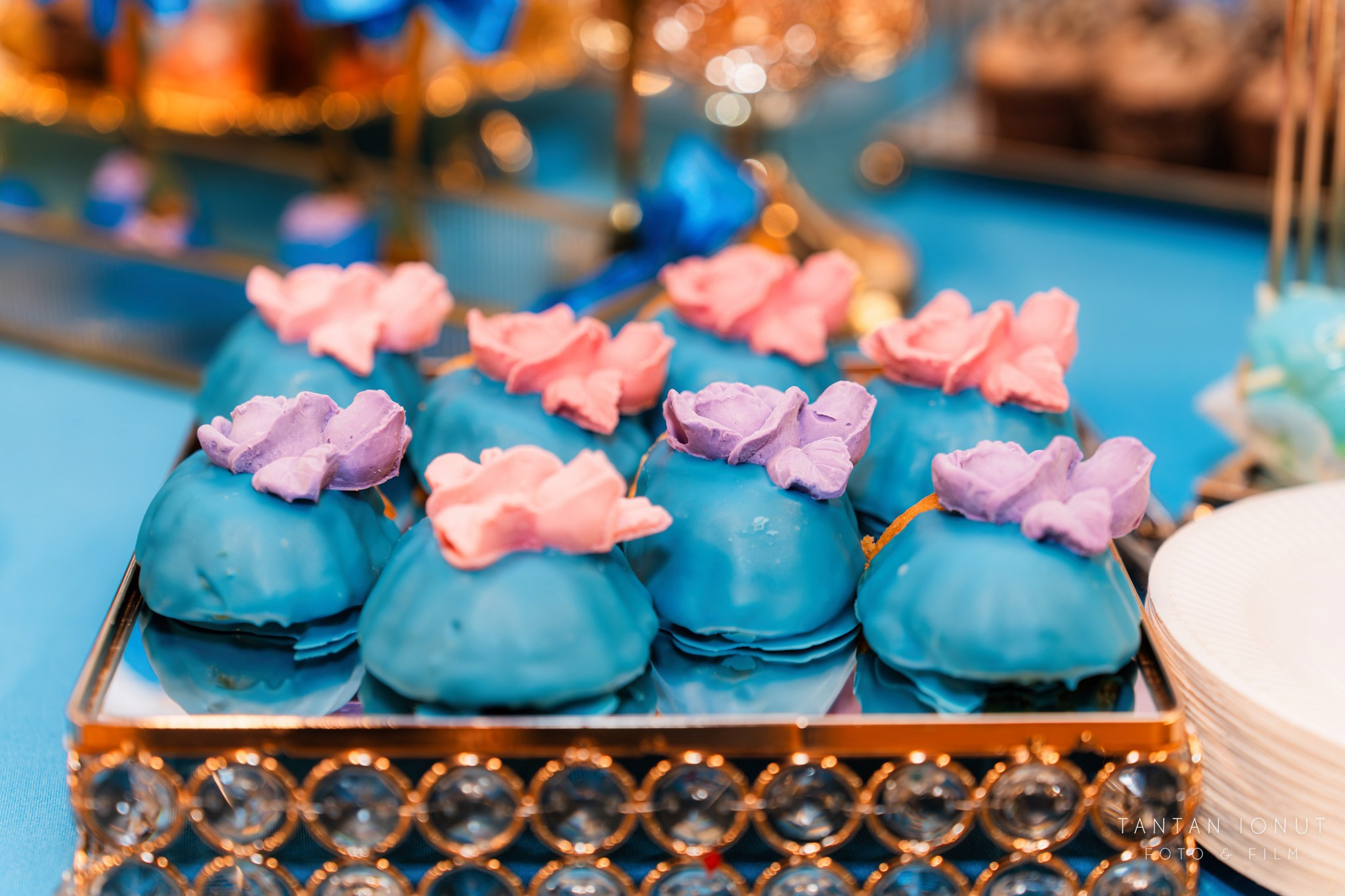 NOAH-GABRIEL. TANTAN IONUT FOTO & FILM