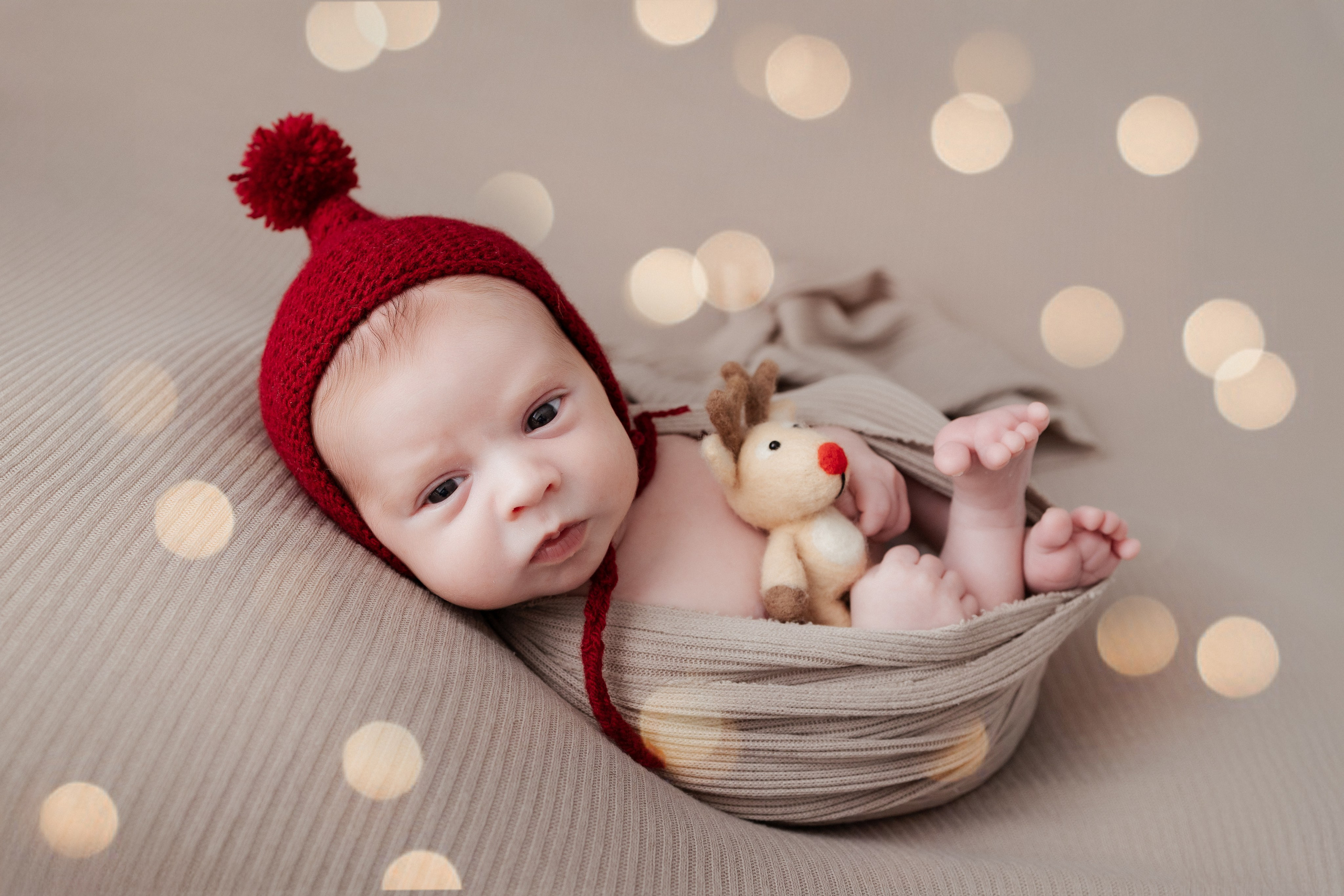 Leo, Mis Primeros Días