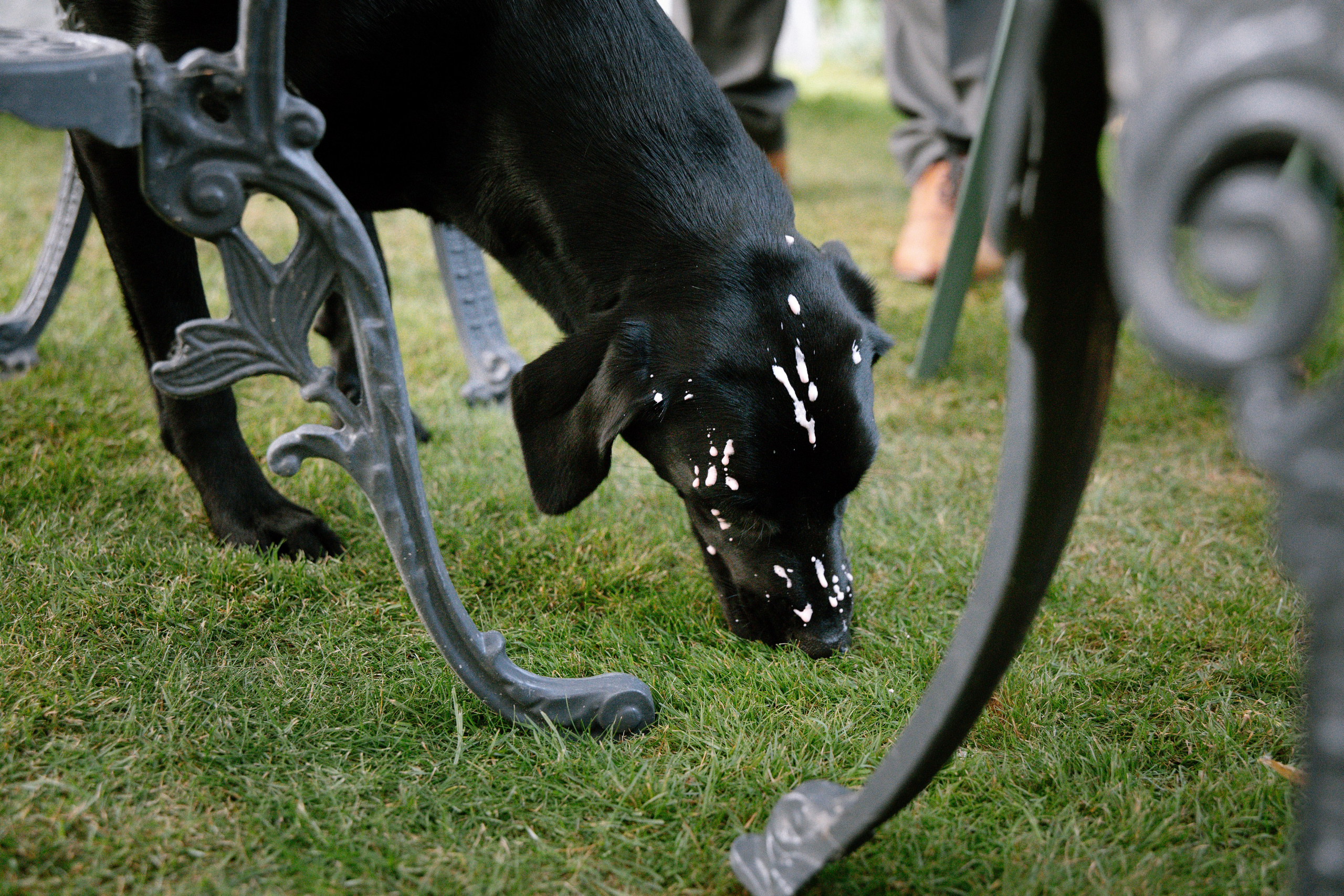 Intimate and emotional wedding. Timeless Wedding & Event Photography — based London, working across Europe