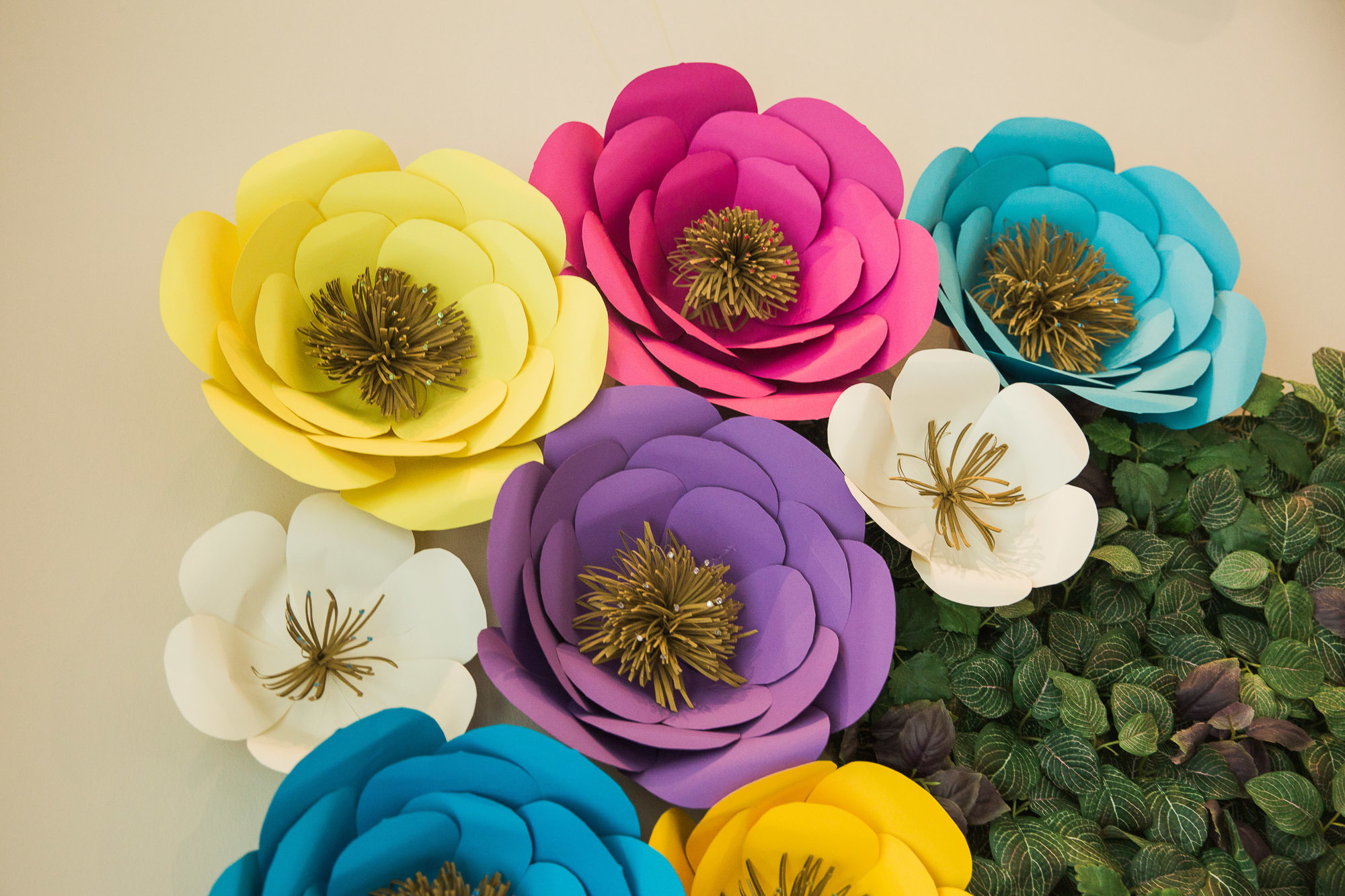 Alisa ja Manuela, 1-vuotissynttärit