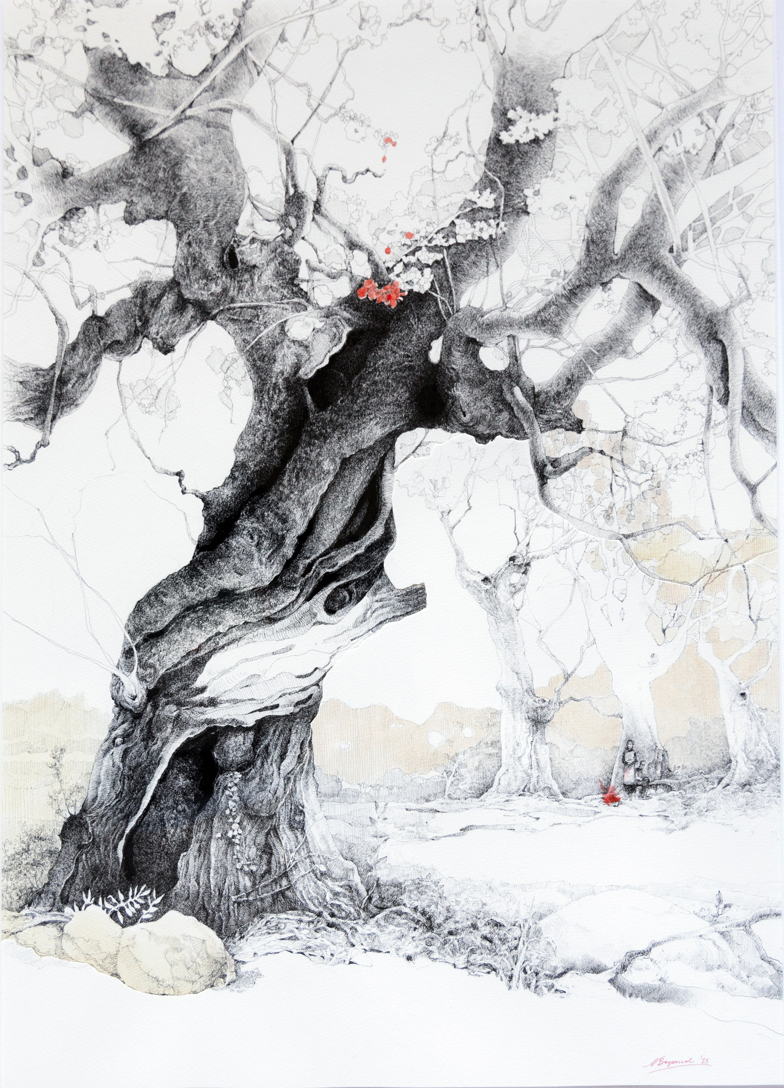 Director, Photographer and Artist in Valencia Natasha Bogomolova