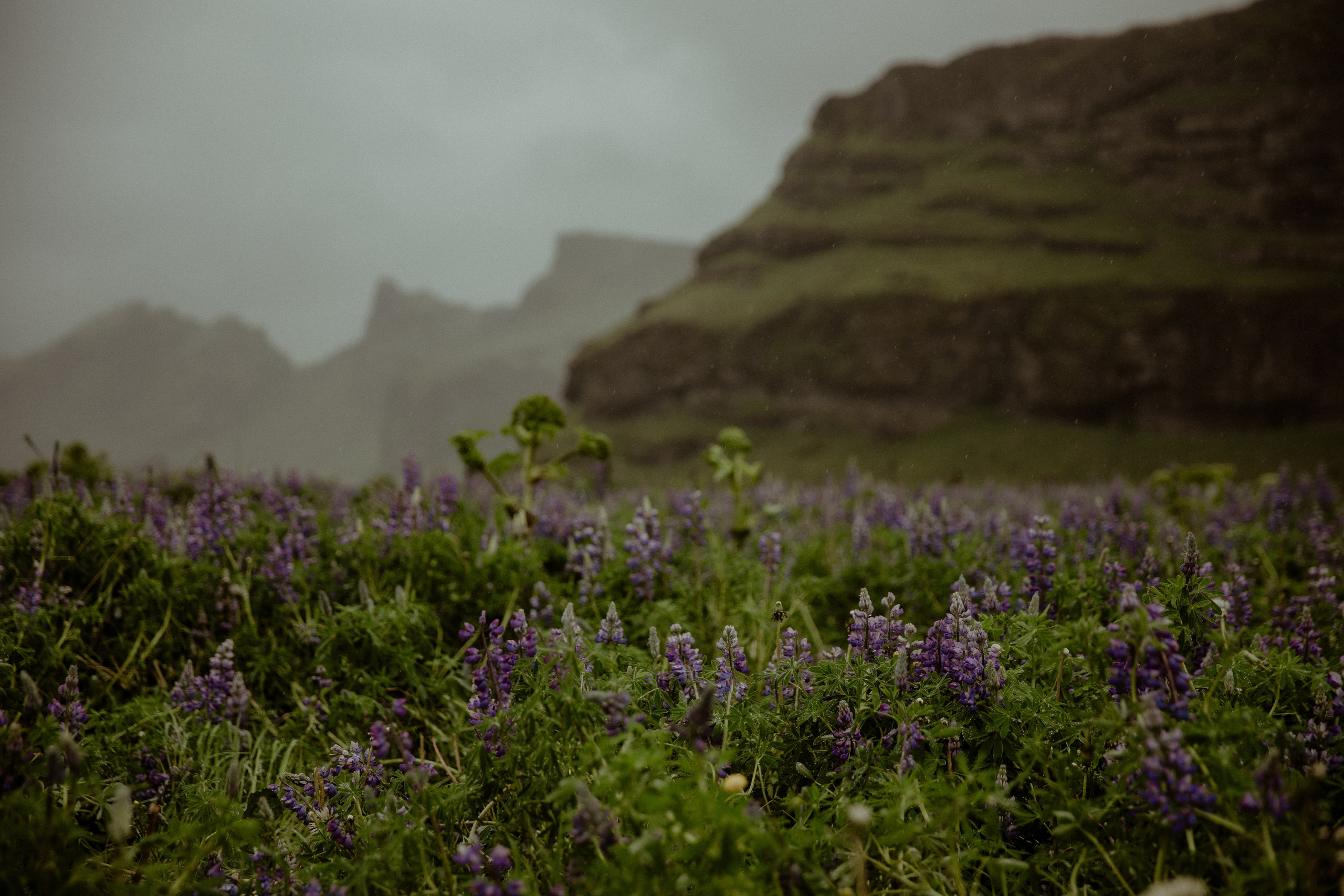 Iceland Elopement at Black Sand Beach. Iceland elopement photo and video | Nikolaichik Photo