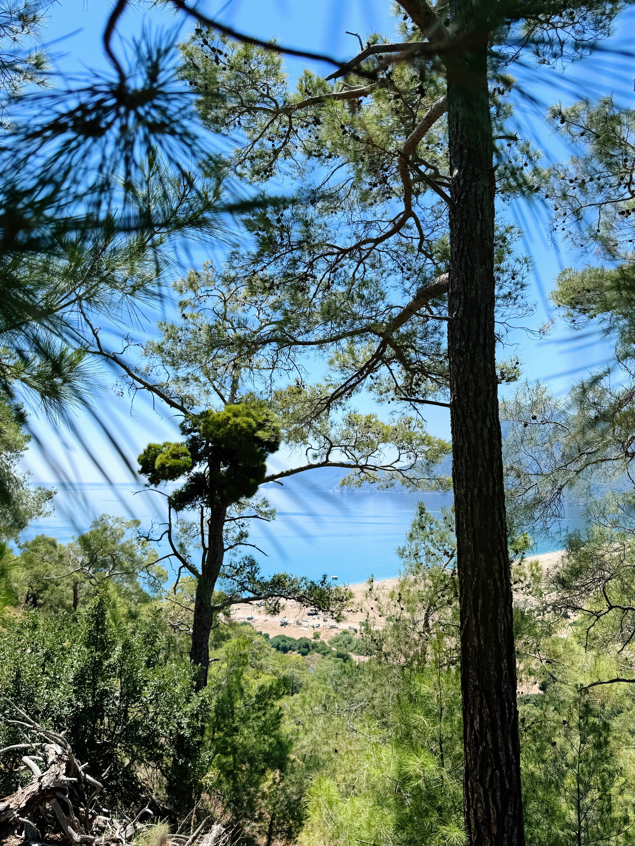 Йога-Ретрит в Турции