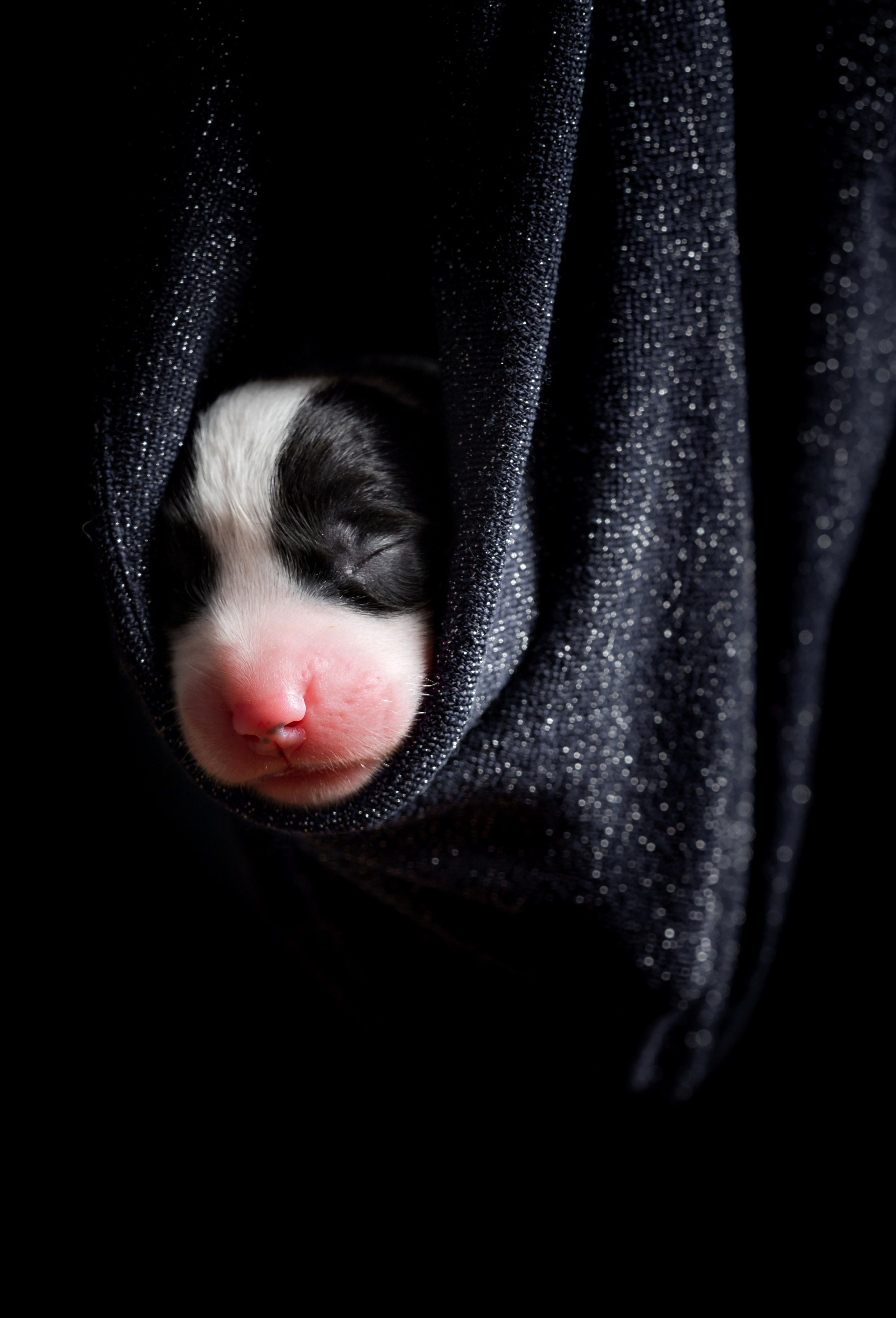 Photographe à Strasbourg | Portraits, Studio, Enfants, Événements
